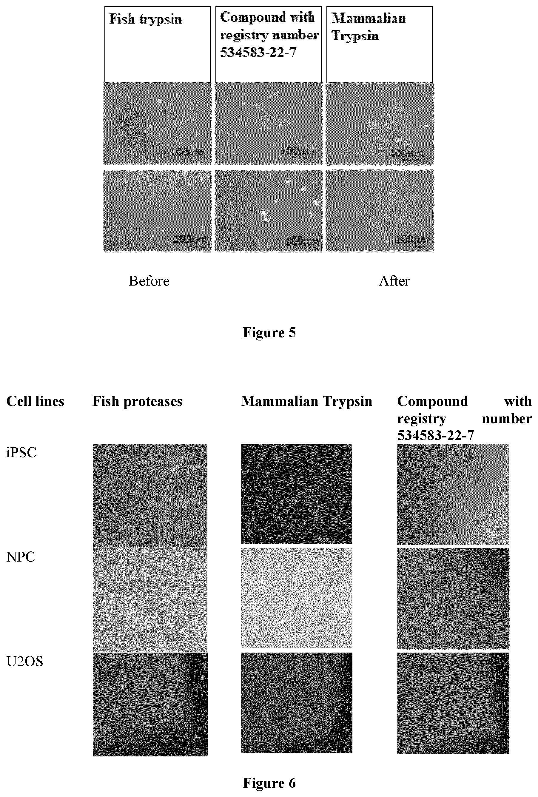 Patent US12325868 Figure 3 – Purified fish proteases with high specific activities and its process of production