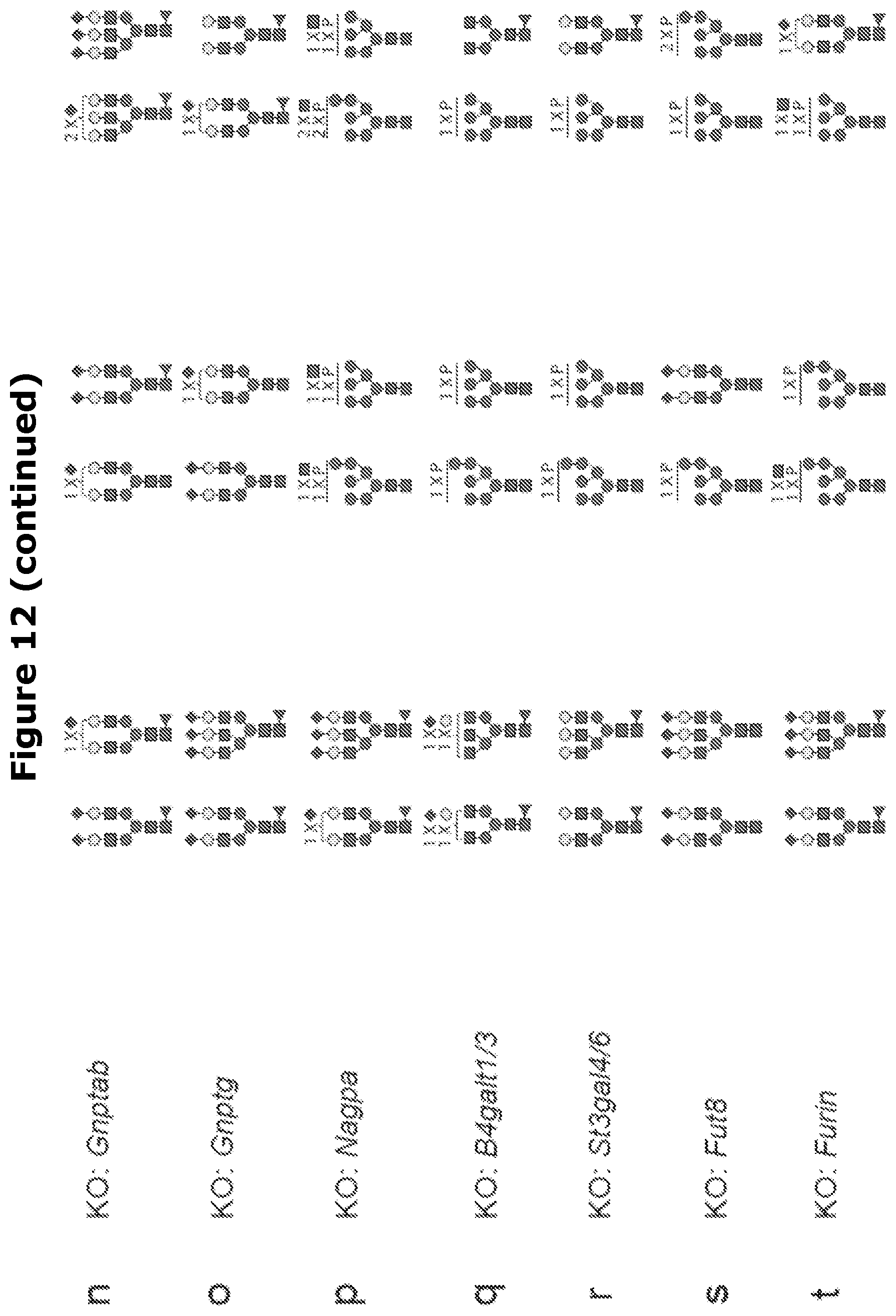 Patent US12325871 Figure 14 – Lysosomal enzymes modified by cell based glycoengineering