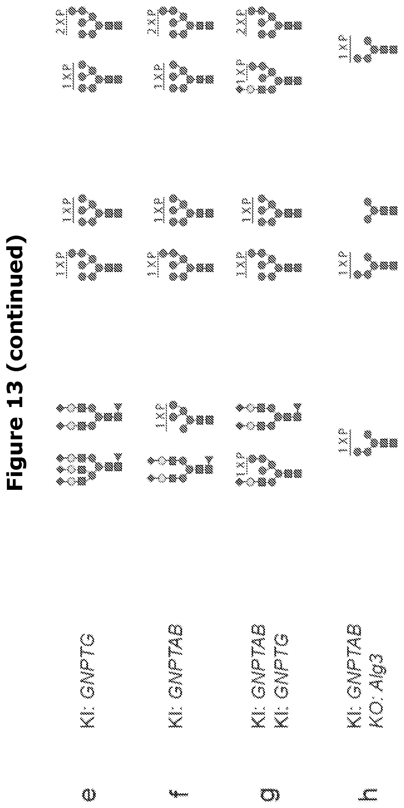 Patent US12325871 Figure 16 – Lysosomal enzymes modified by cell based glycoengineering