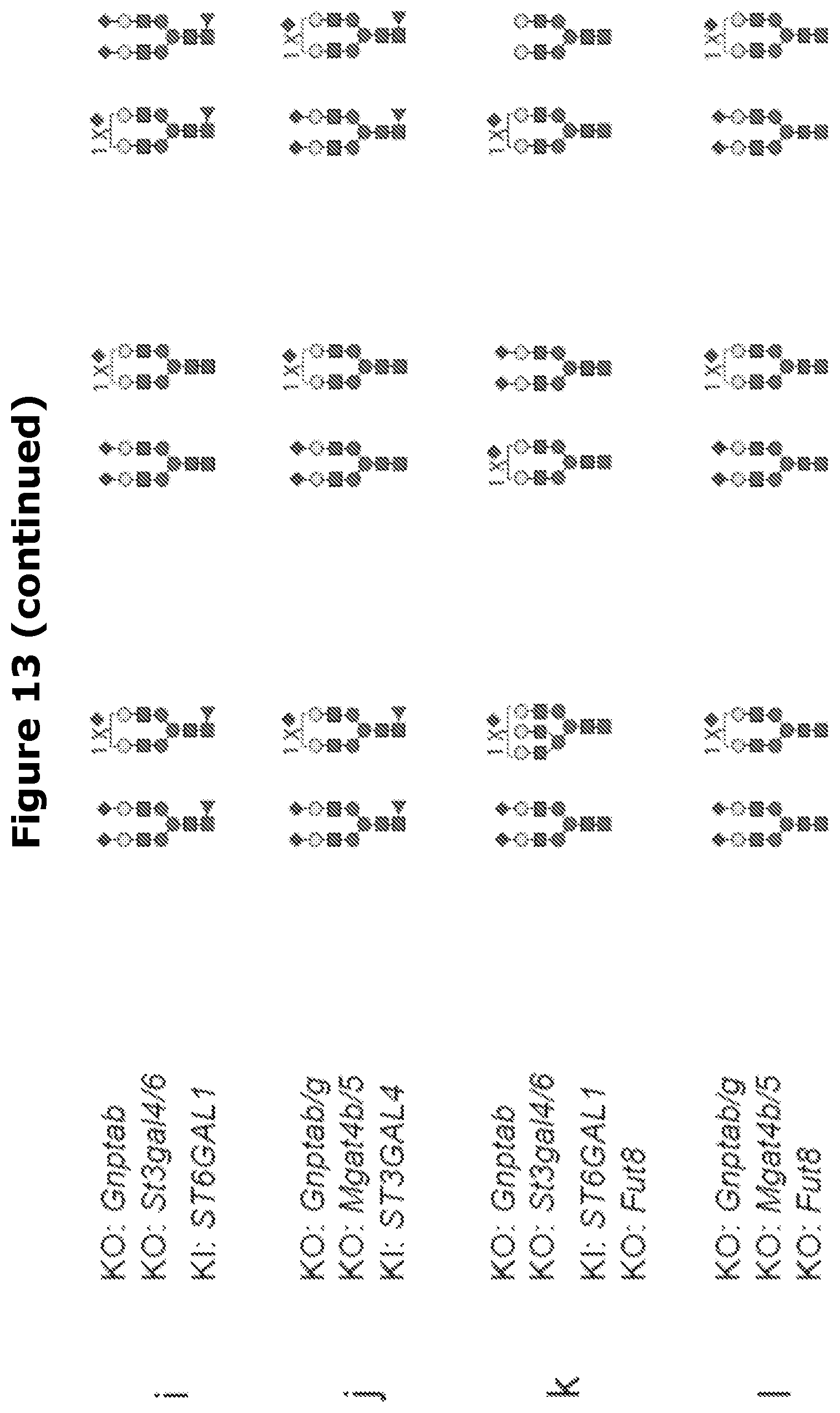 Patent US12325871 Figure 17 – Lysosomal enzymes modified by cell based glycoengineering