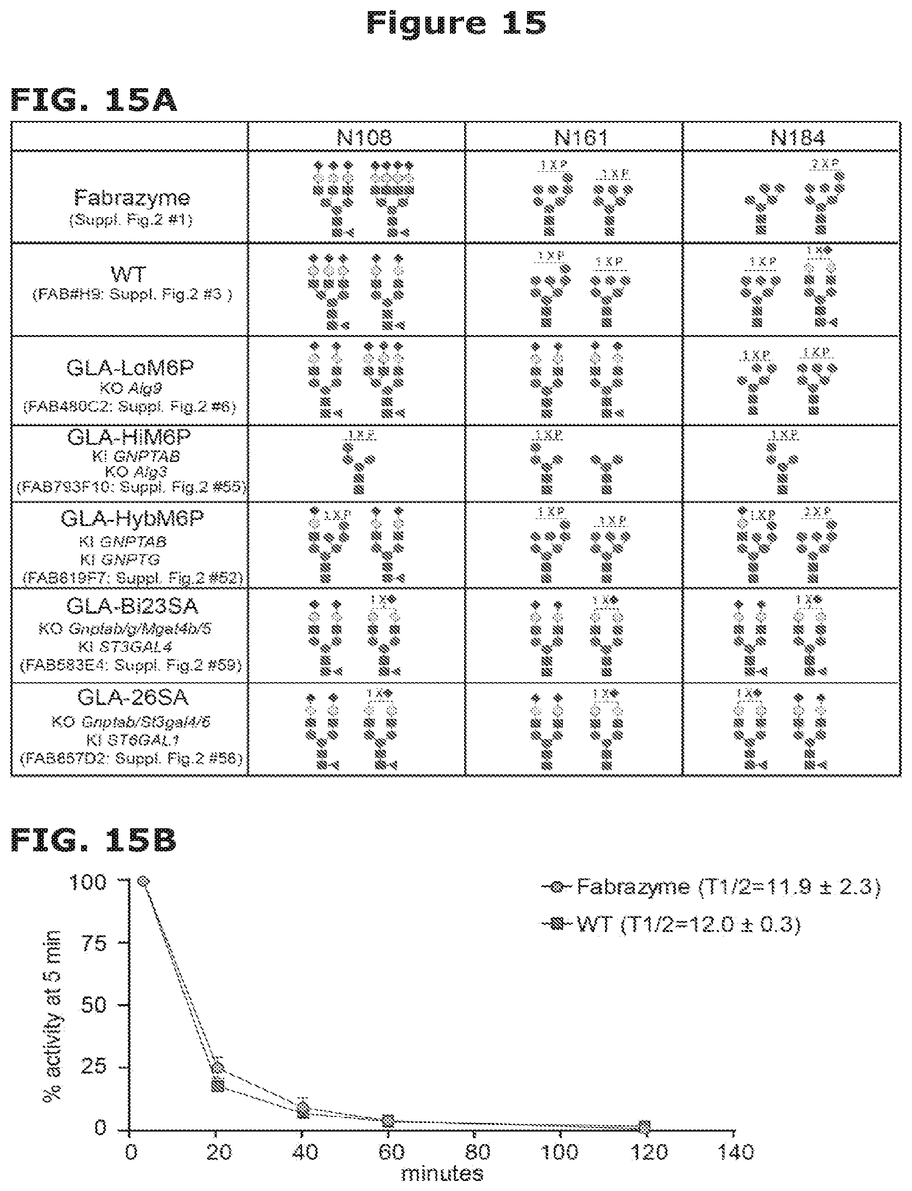 Patent US12325871 Figure 20 – Lysosomal enzymes modified by cell based glycoengineering