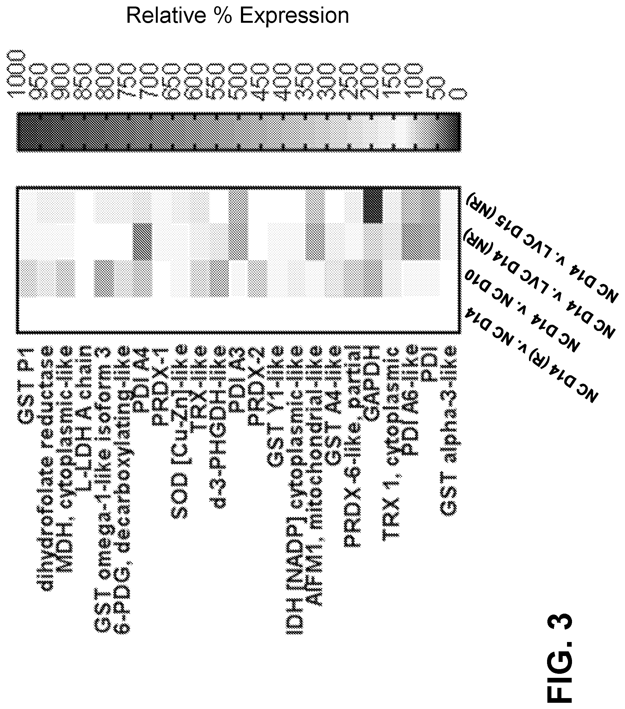 Patent US12325875 Figure 7 – Metabolic enzyme activity and disulfide bond reduction during protein production