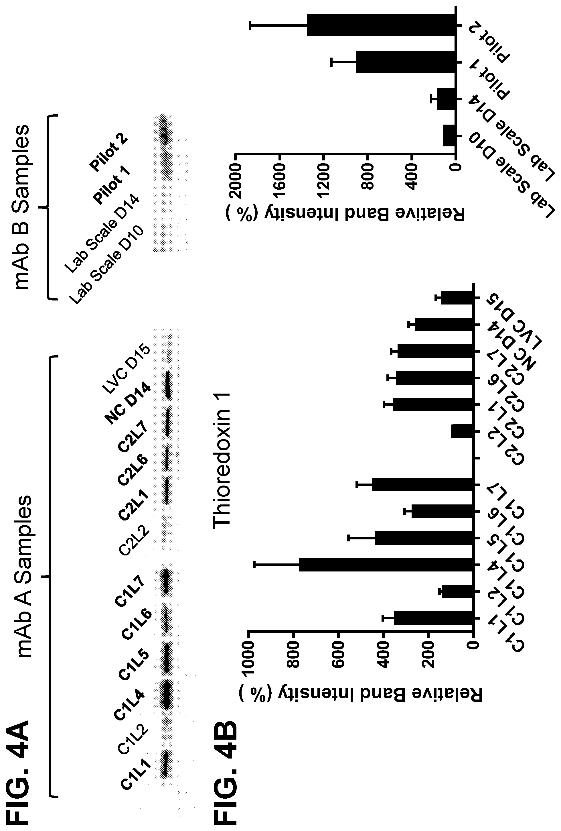 Patent US12325875 Figure 8 – Metabolic enzyme activity and disulfide bond reduction during protein production