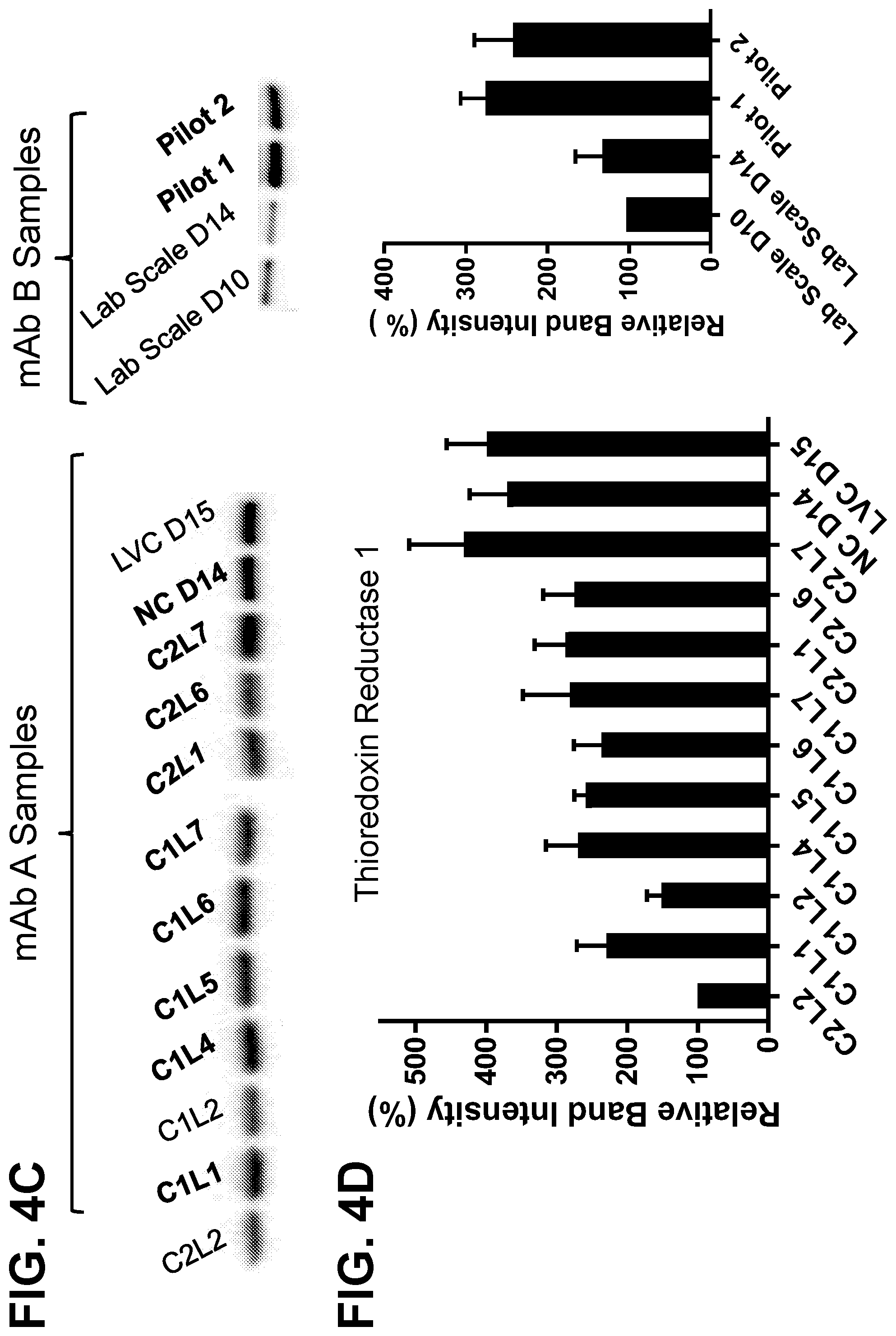 Patent US12325875 Figure 9 – Metabolic enzyme activity and disulfide bond reduction during protein production