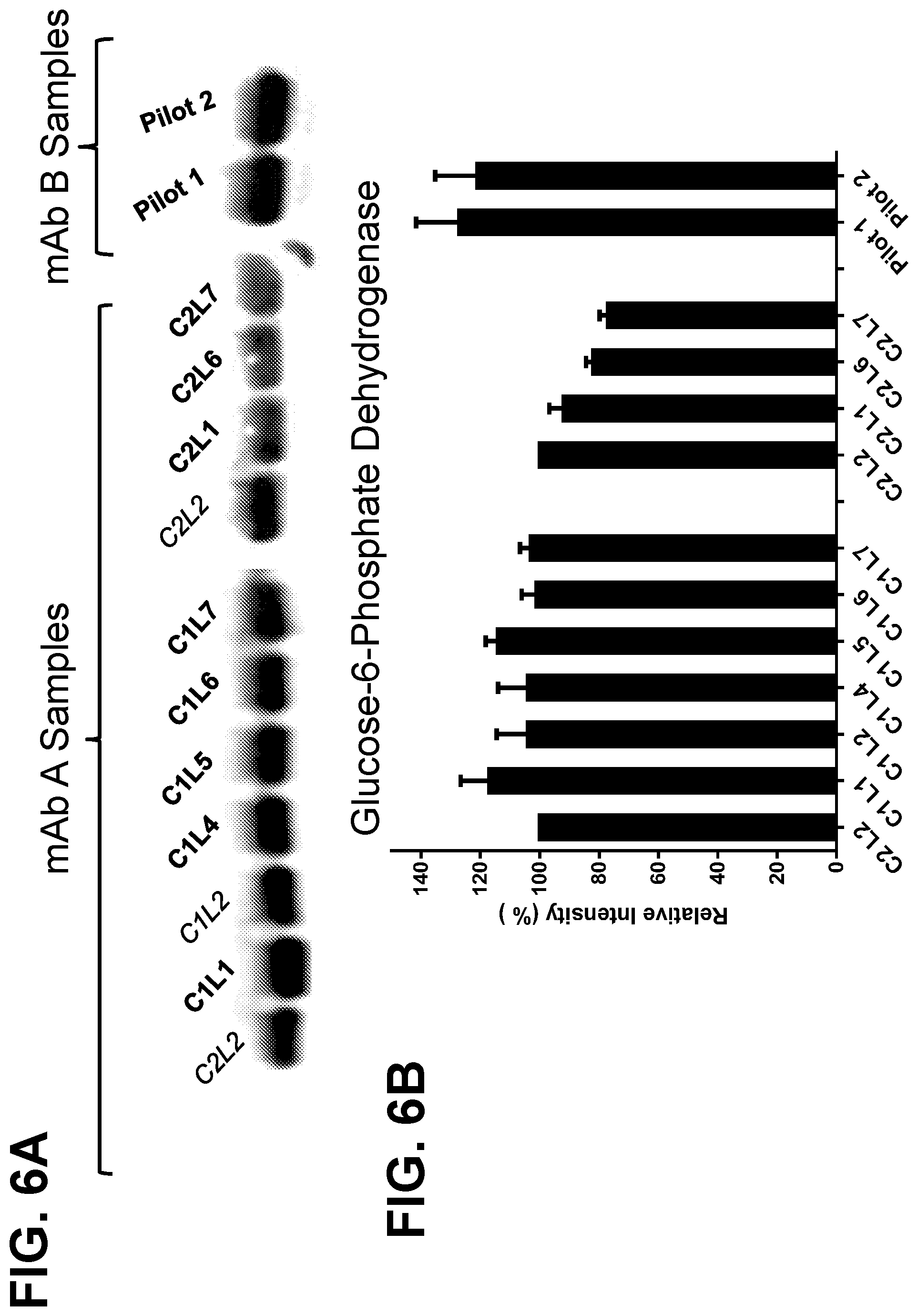 Patent US12325875 Figure 11 – Metabolic enzyme activity and disulfide bond reduction during protein production