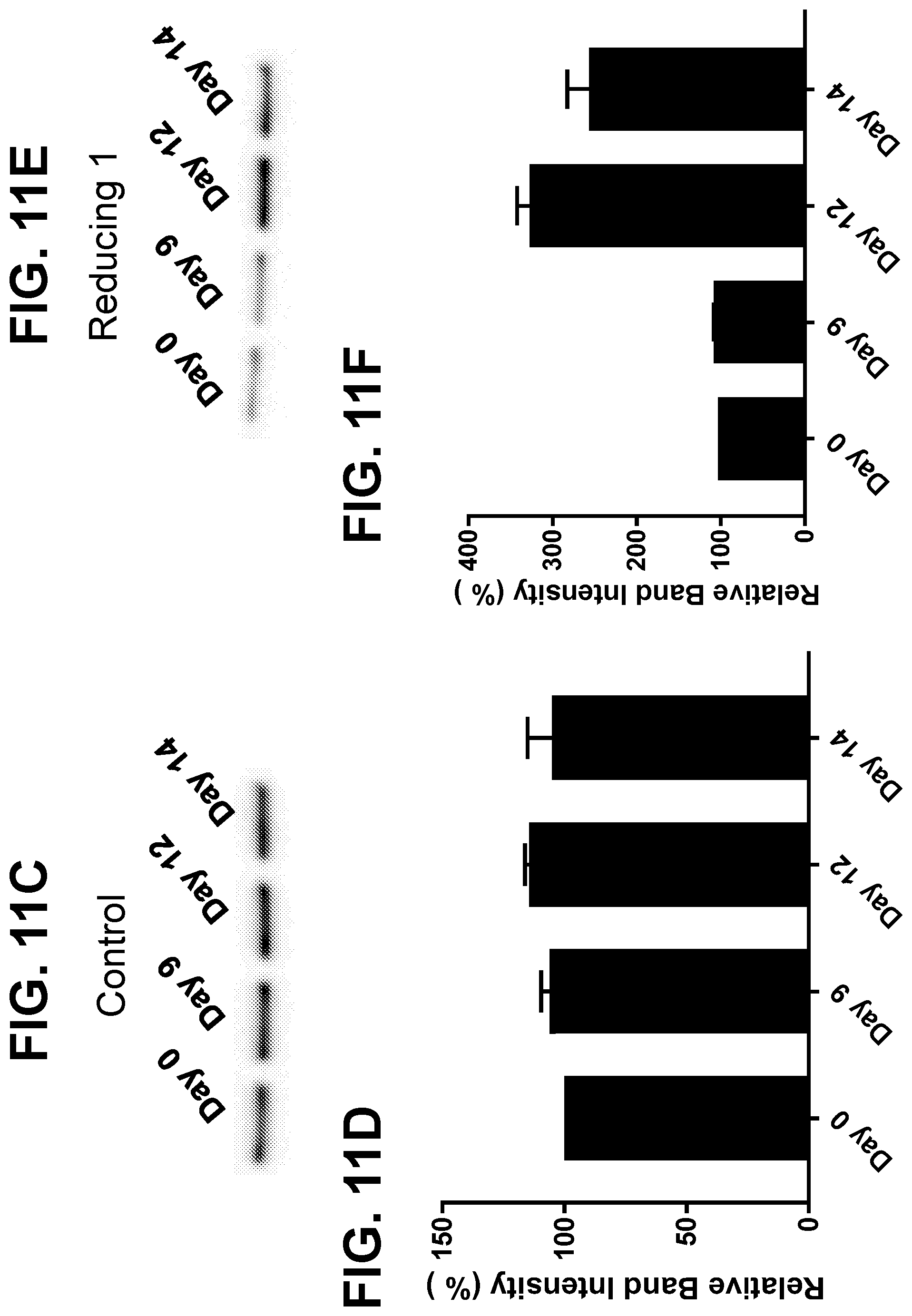Patent US12325875 Figure 17 – Metabolic enzyme activity and disulfide bond reduction during protein production