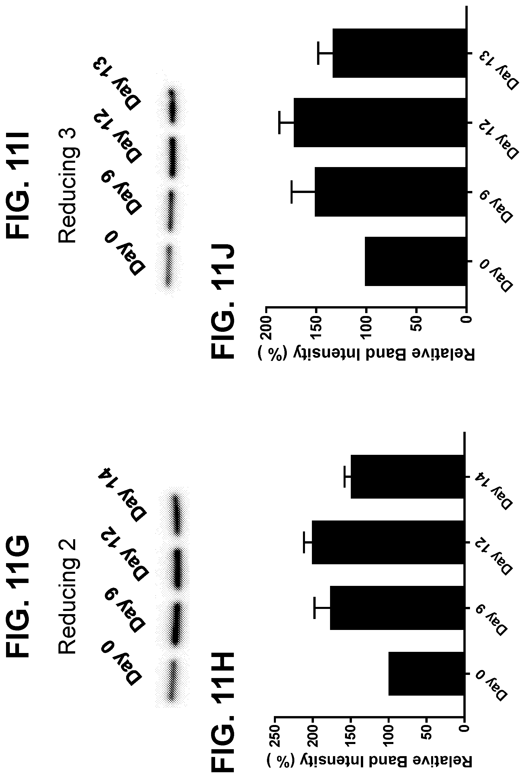 Patent US12325875 Figure 18 – Metabolic enzyme activity and disulfide bond reduction during protein production
