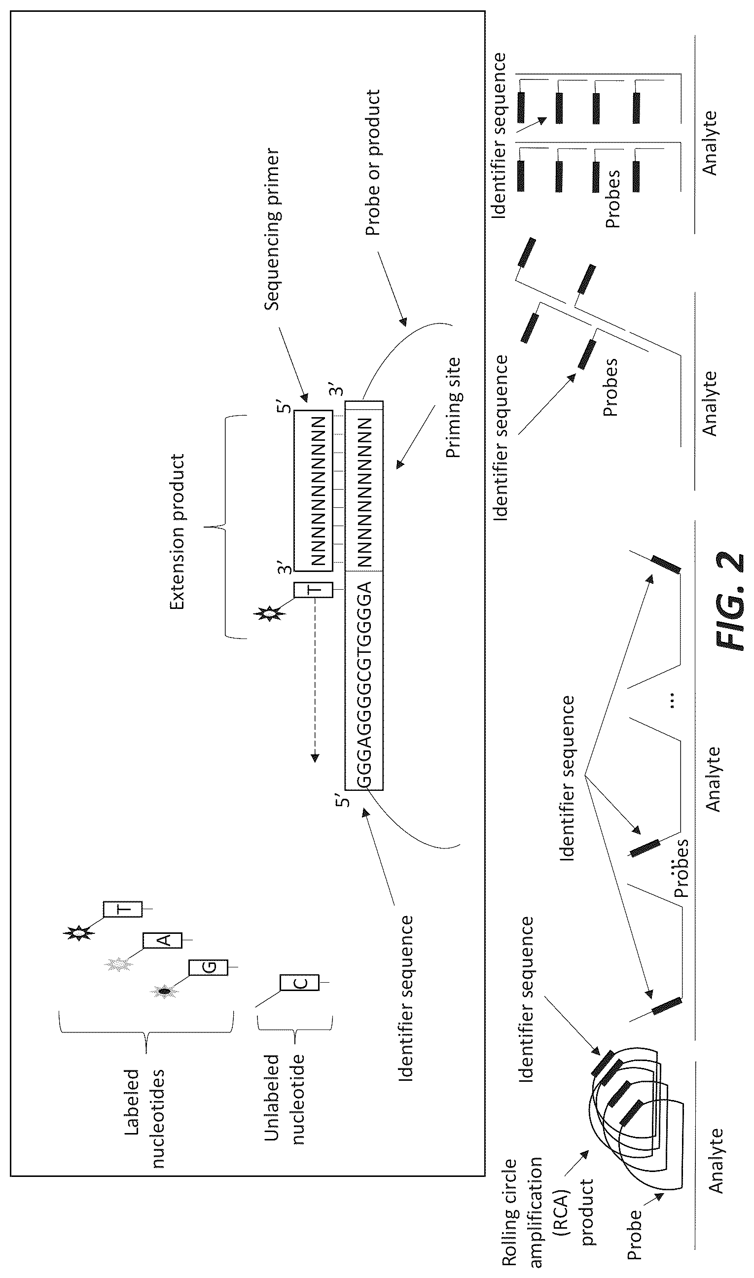 Patent US12325877 Figure 2 – Compositions and methods for gene expression library analysis