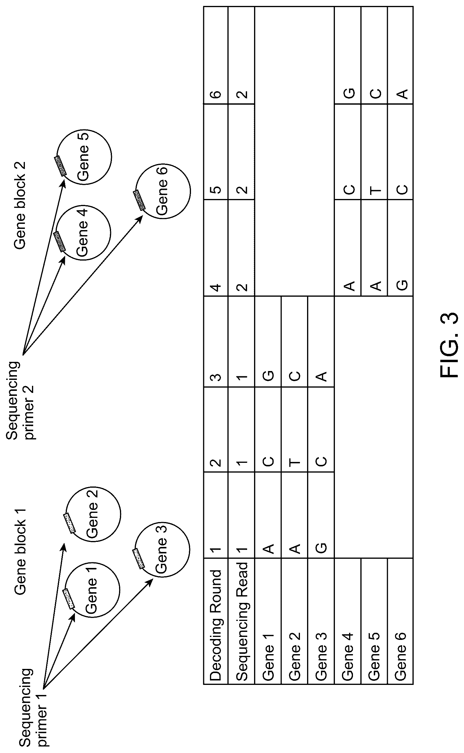Patent US12325877 Figure 3 – Compositions and methods for gene expression library analysis