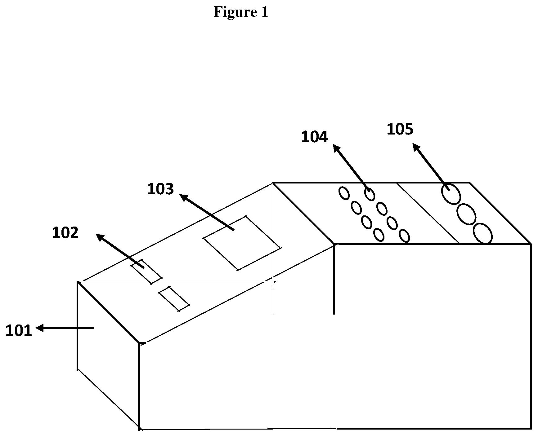 Patent US12325882 — Fast and portable microfluidic detection system as an alternative to Salmonella's classical culture method — Figure 1