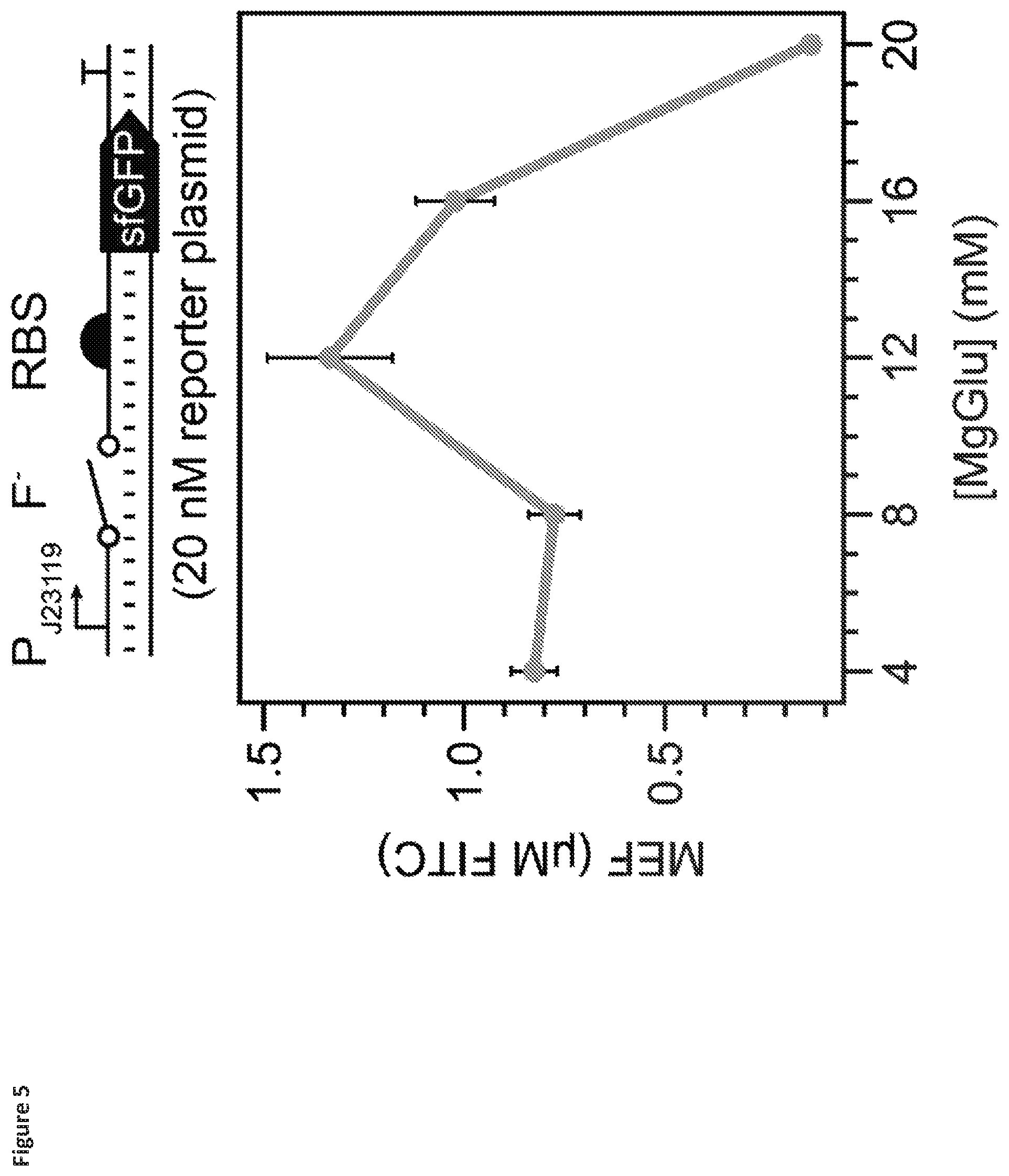 Patent US12325884 Figure 5 – Riboswitch-based fluoride sensing in cell-free extract