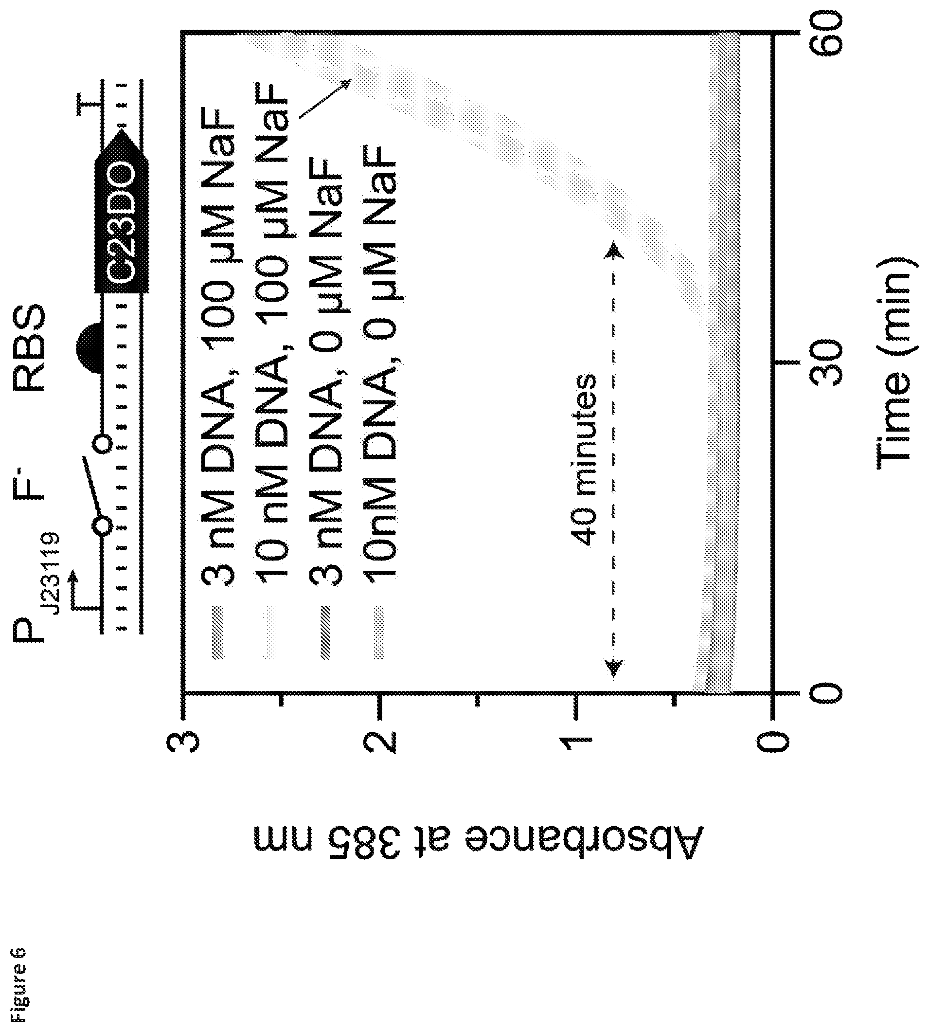 Patent US12325884 Figure 6 – Riboswitch-based fluoride sensing in cell-free extract