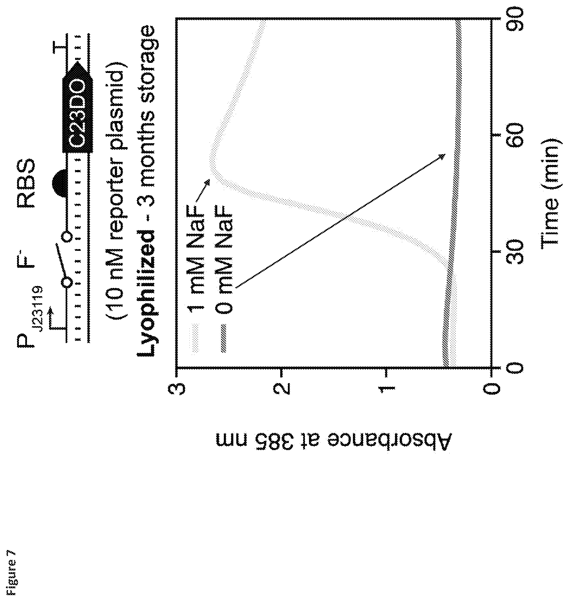 Patent US12325884 Figure 7 – Riboswitch-based fluoride sensing in cell-free extract