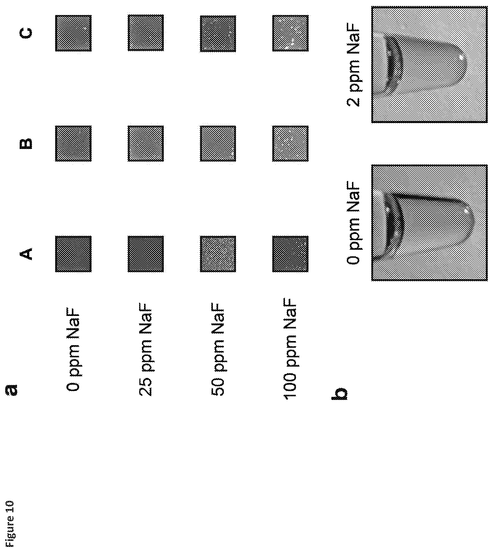 Patent US12325884 Figure 10 – Riboswitch-based fluoride sensing in cell-free extract