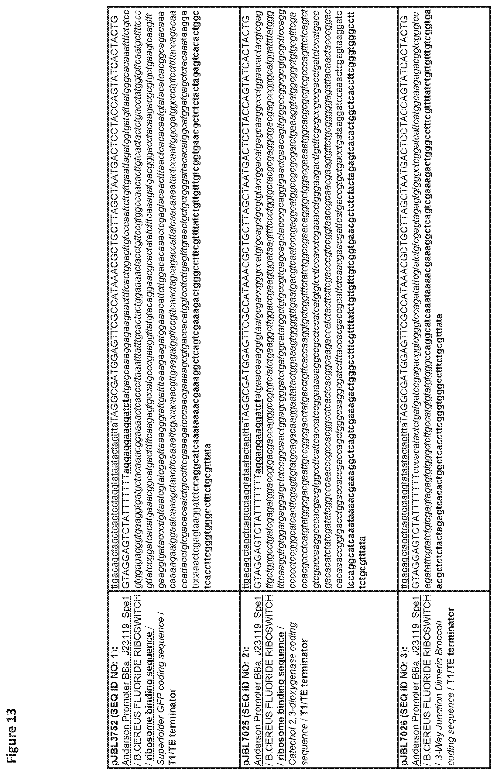 Patent US12325884 Figure 13 – Riboswitch-based fluoride sensing in cell-free extract