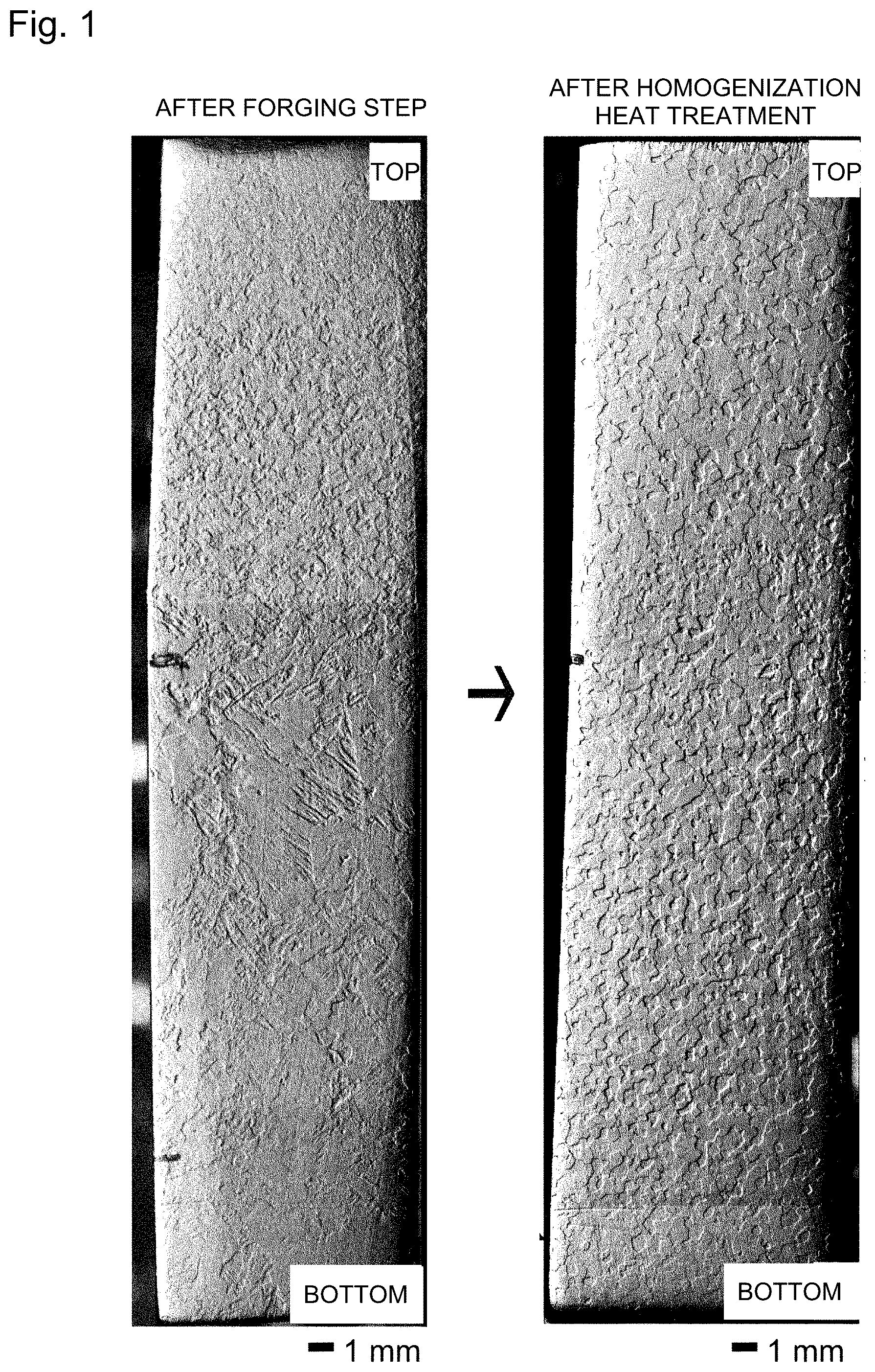 Patent US12325908 Figure 1 – Platinum-based sputtering target, and method for producing the same