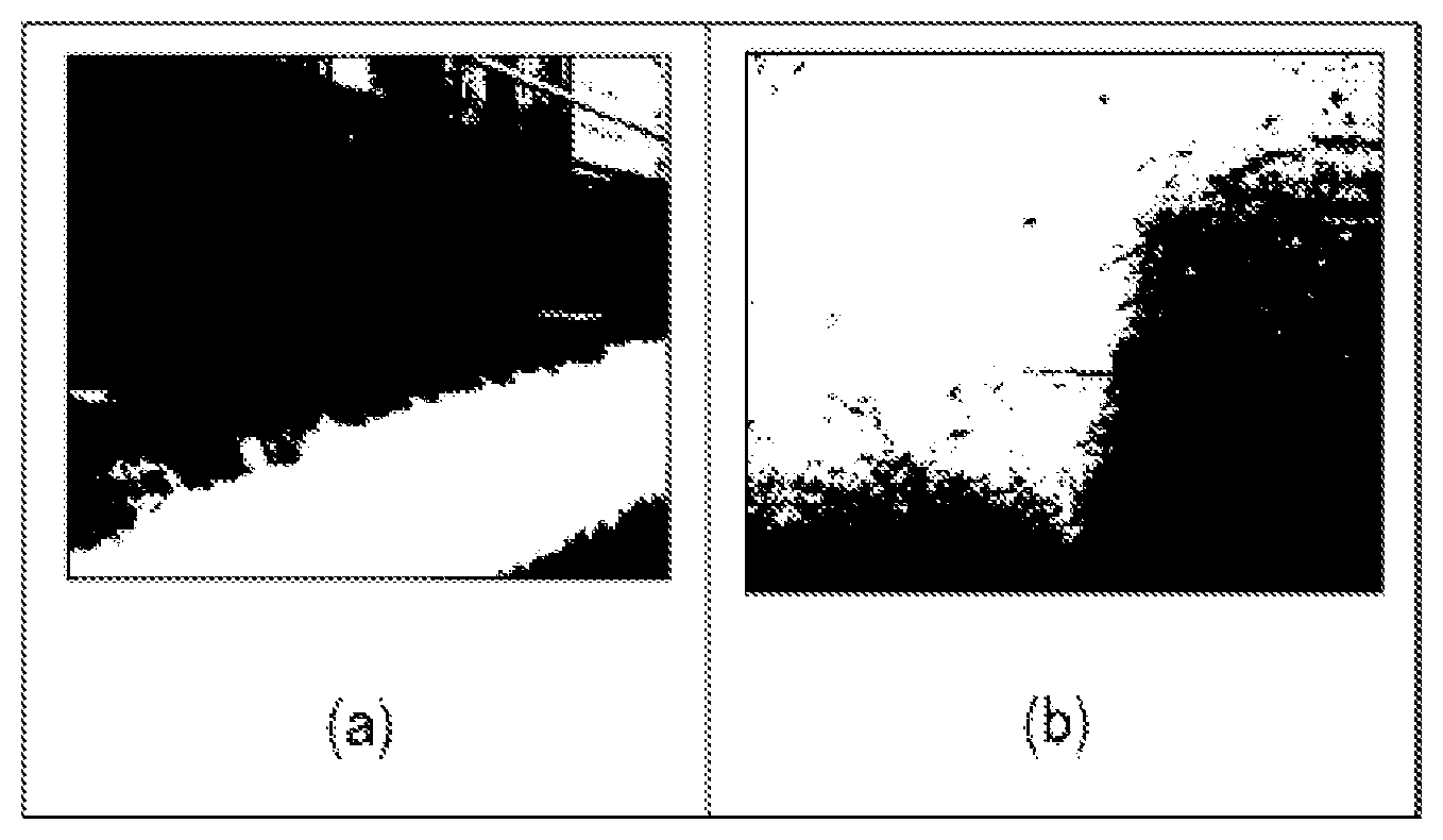 Patent US12325939 Figure 1 – Spunbonded nonwoven fabric and tile carpet using the same