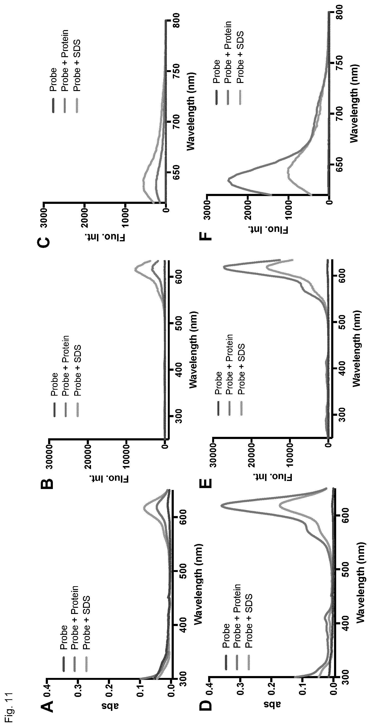 Patent US12326385 Figure 12 – Cell-permeable fluorogenic fluorophores