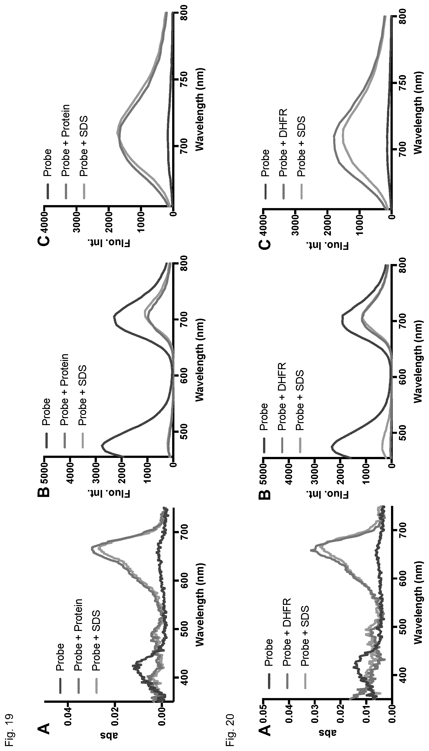 Patent US12326385 Figure 19 – Cell-permeable fluorogenic fluorophores