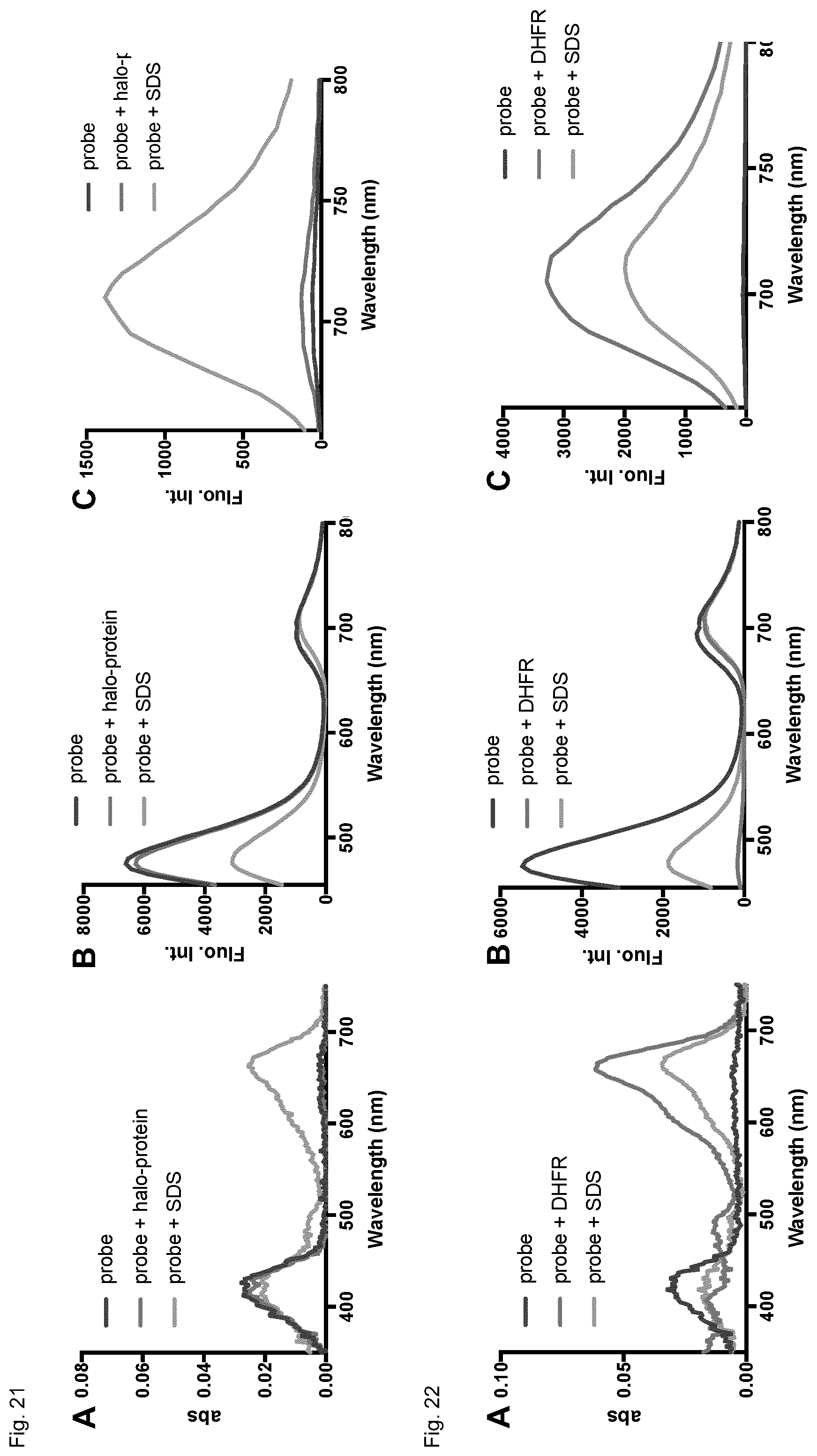 Patent US12326385 Figure 20 – Cell-permeable fluorogenic fluorophores