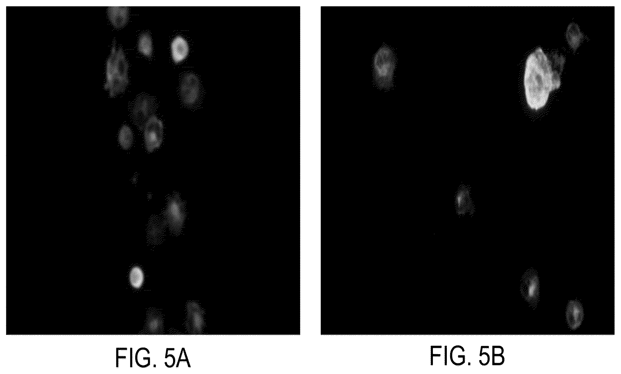 Patent US12326386 Figure 5 – Systems and methods for identifying rare cells