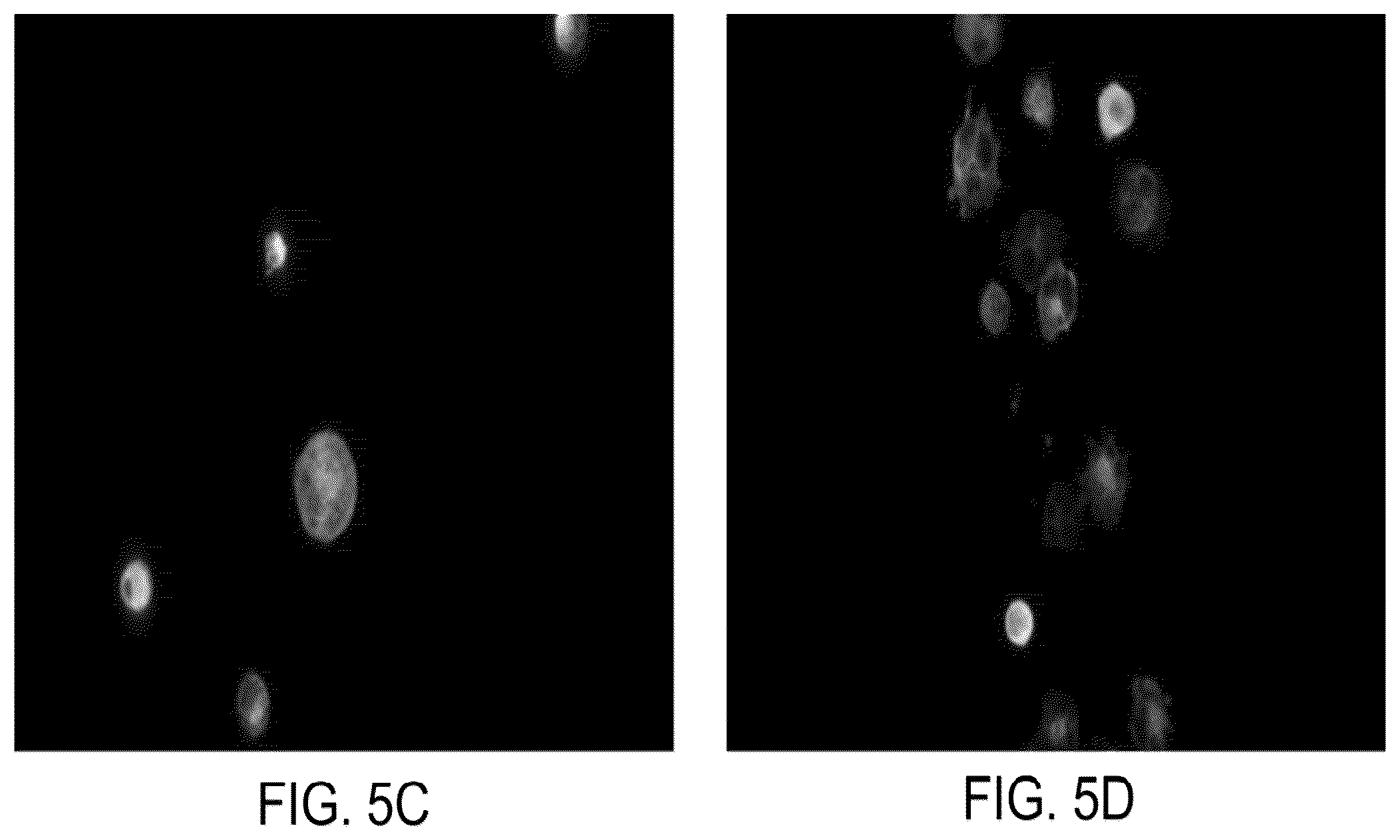 Patent US12326386 Figure 6 – Systems and methods for identifying rare cells