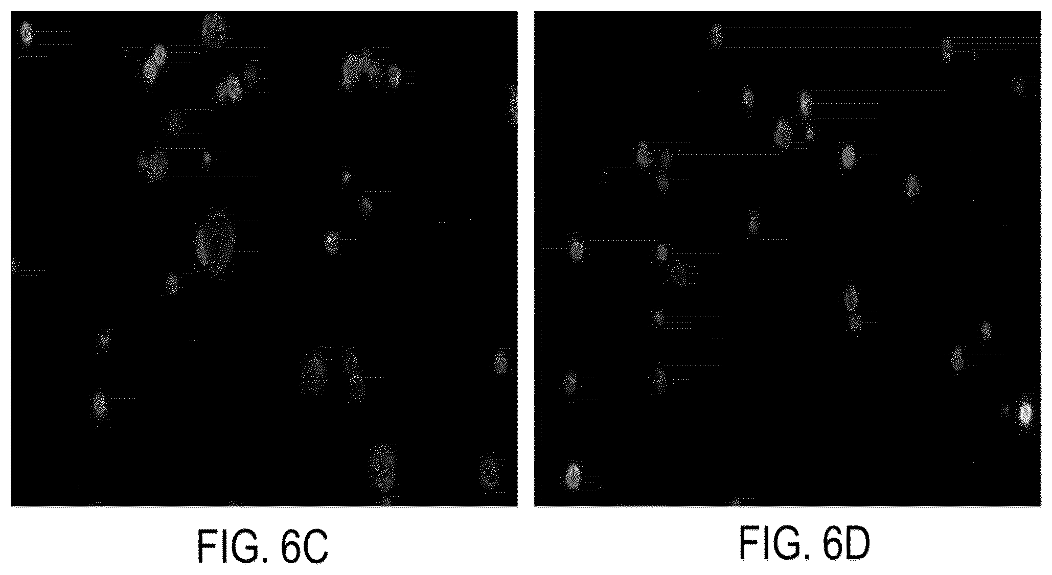 Patent US12326386 Figure 8 – Systems and methods for identifying rare cells