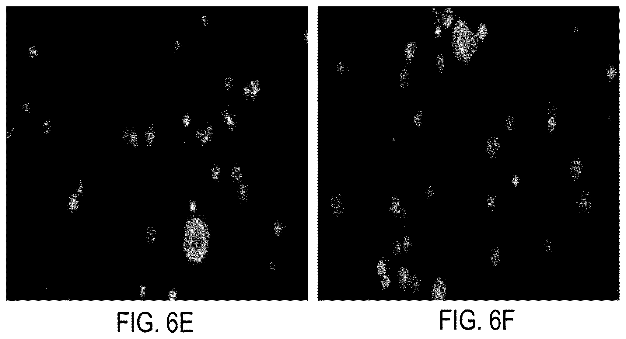 Patent US12326386 Figure 9 – Systems and methods for identifying rare cells