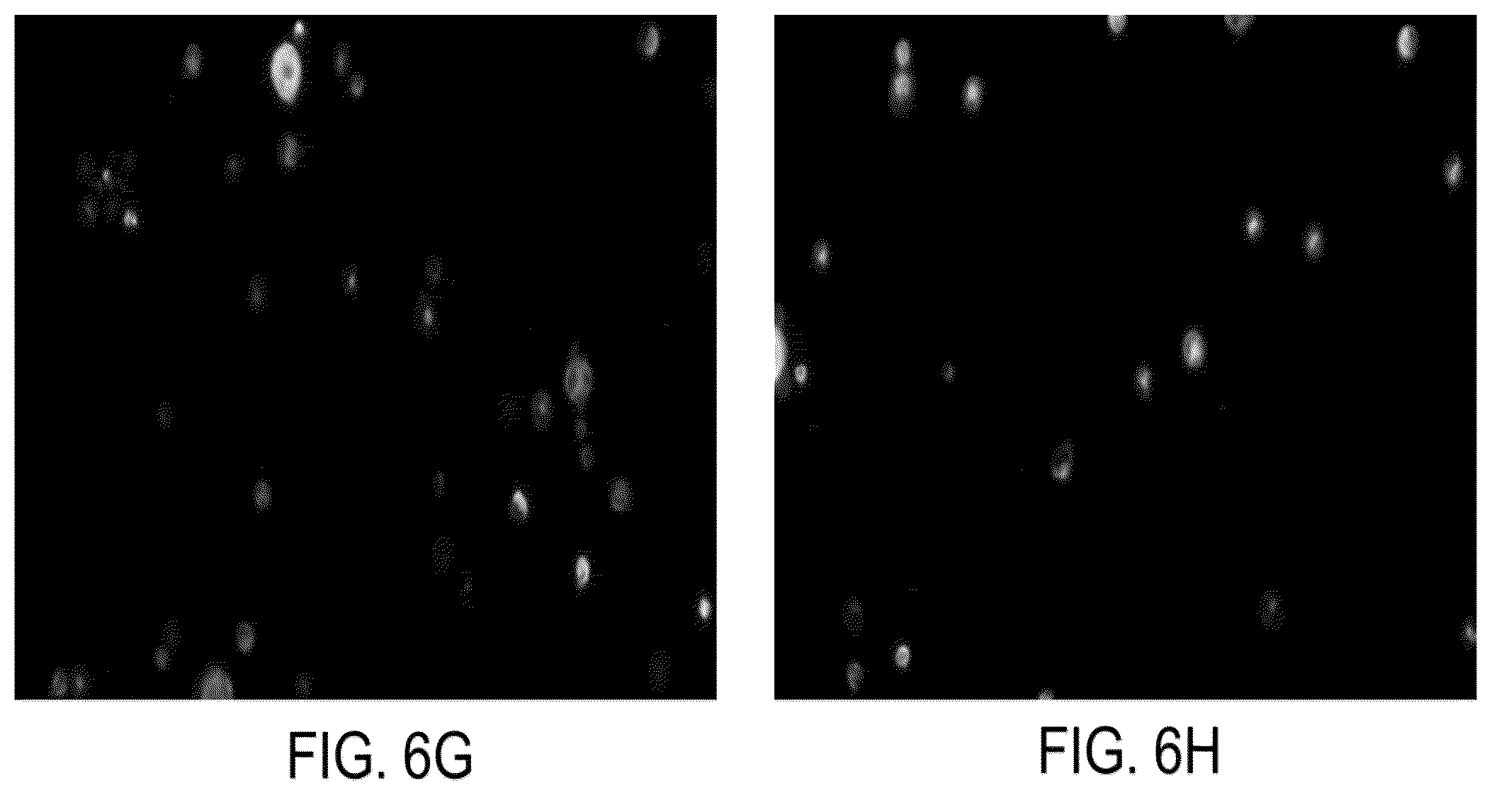 Patent US12326386 Figure 10 – Systems and methods for identifying rare cells