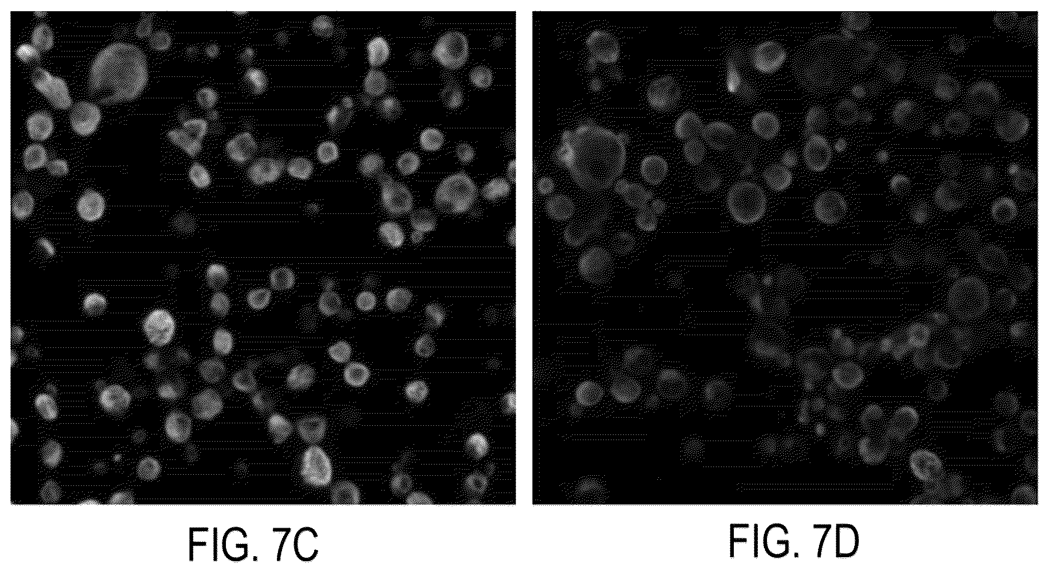 Patent US12326386 Figure 12 – Systems and methods for identifying rare cells
