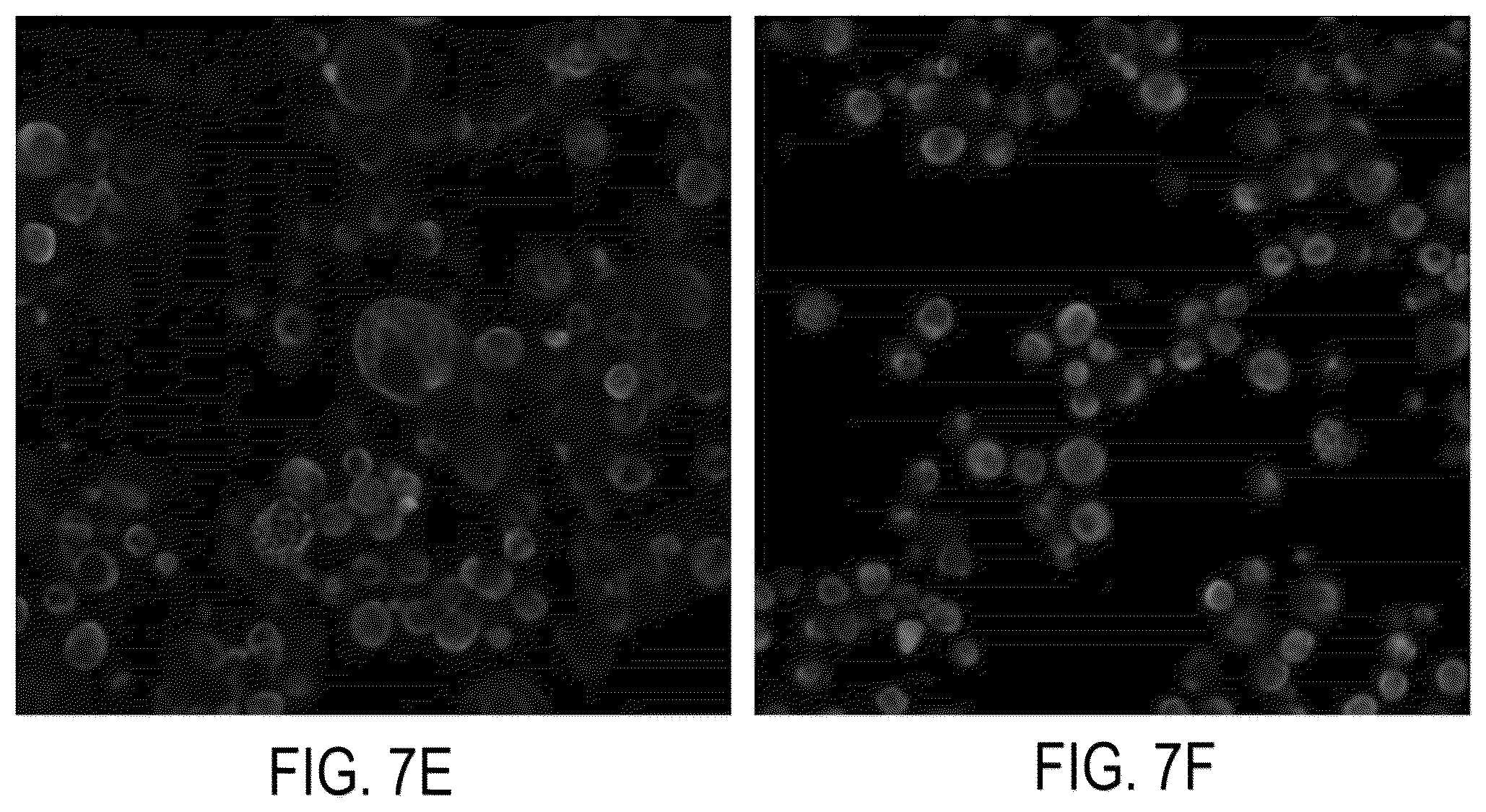 Patent US12326386 Figure 13 – Systems and methods for identifying rare cells