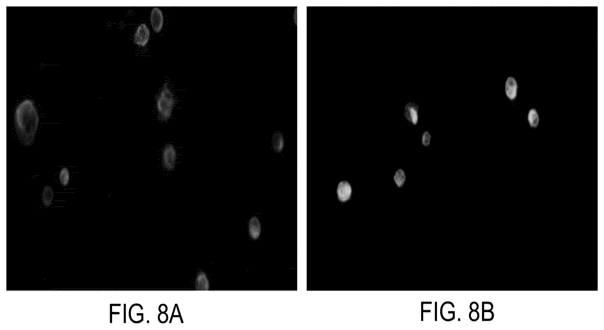 Patent US12326386 Figure 14 – Systems and methods for identifying rare cells