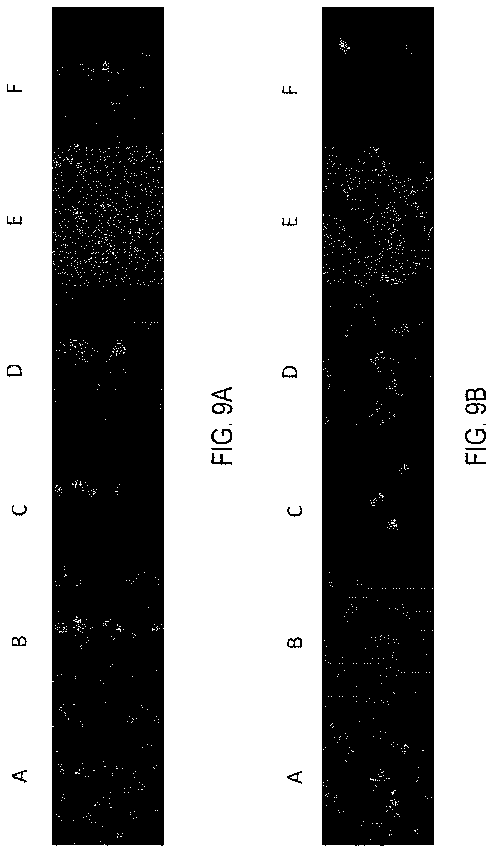 Patent US12326386 Figure 15 – Systems and methods for identifying rare cells