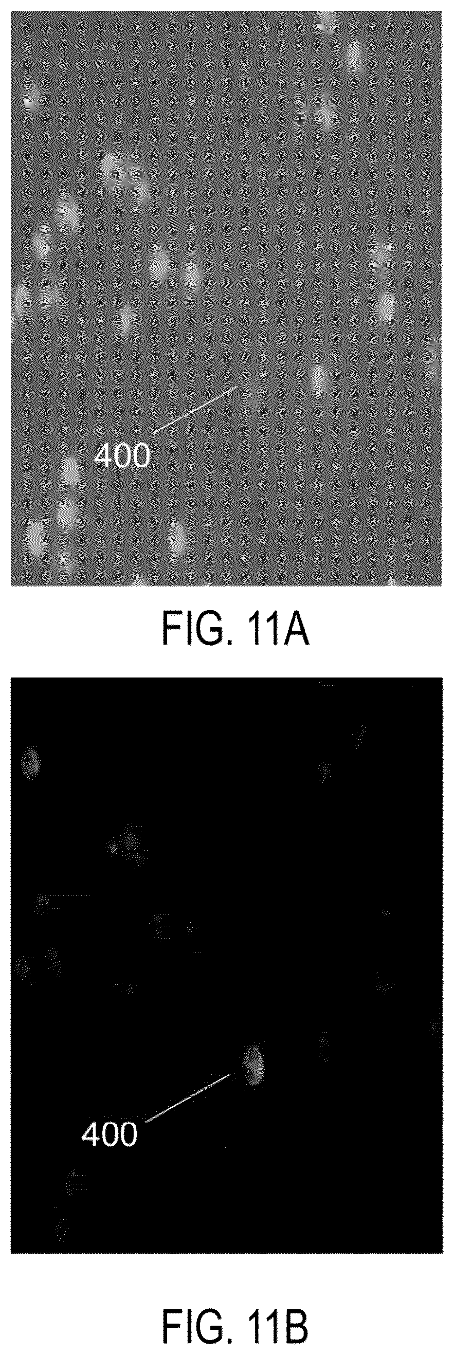 Patent US12326386 Figure 17 – Systems and methods for identifying rare cells