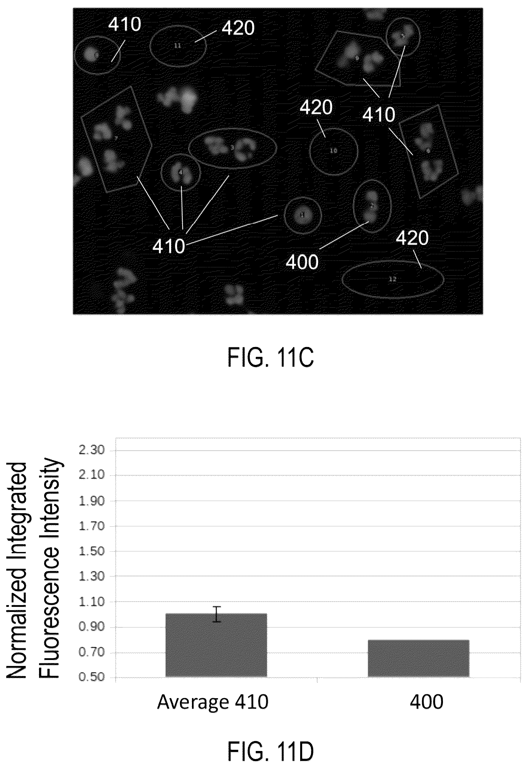 Patent US12326386 Figure 18 – Systems and methods for identifying rare cells