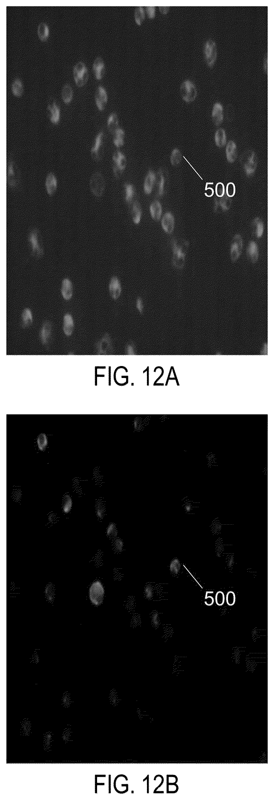 Patent US12326386 Figure 19 – Systems and methods for identifying rare cells