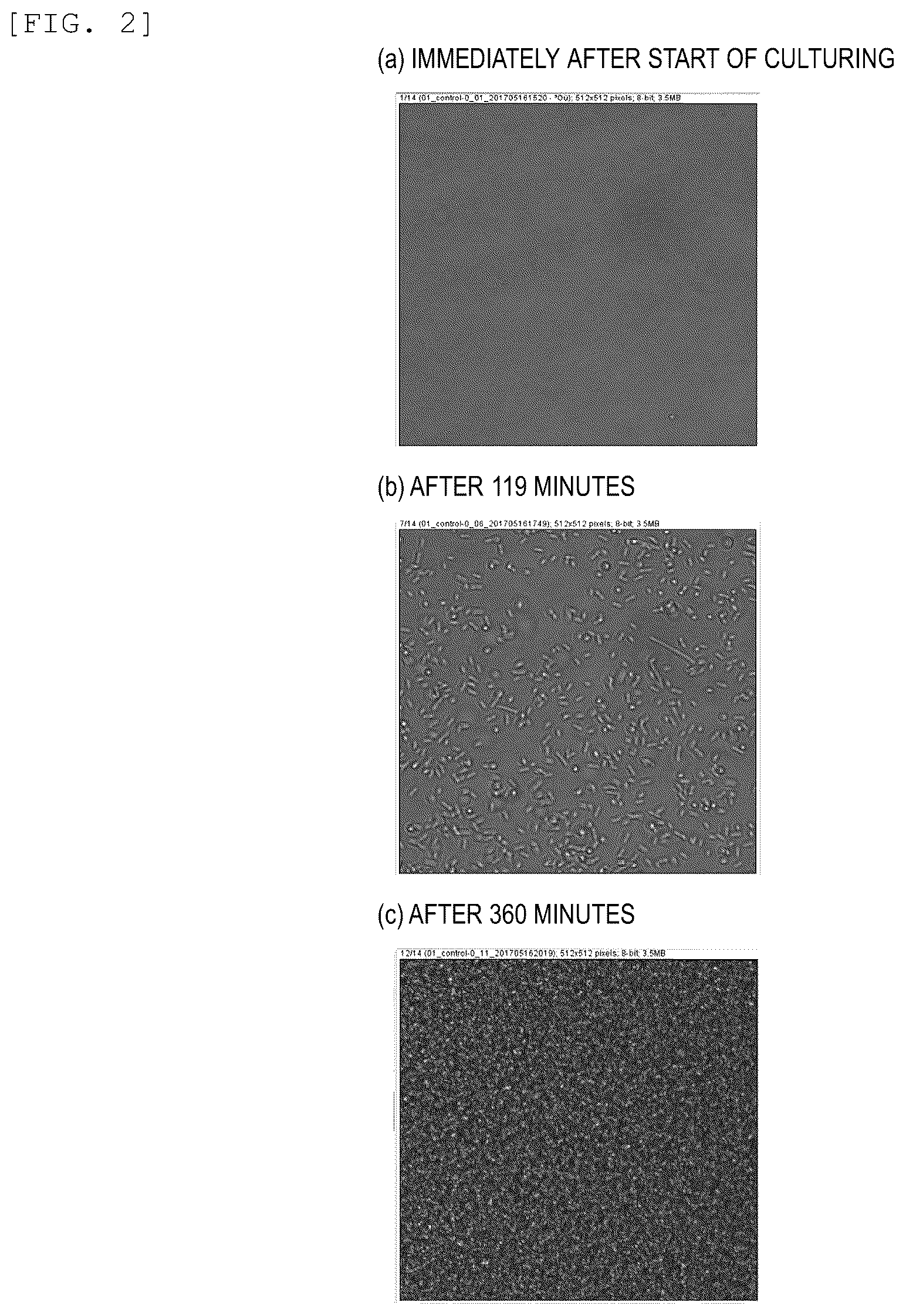 Patent US12326391 Figure 2 – Particle quantifying device