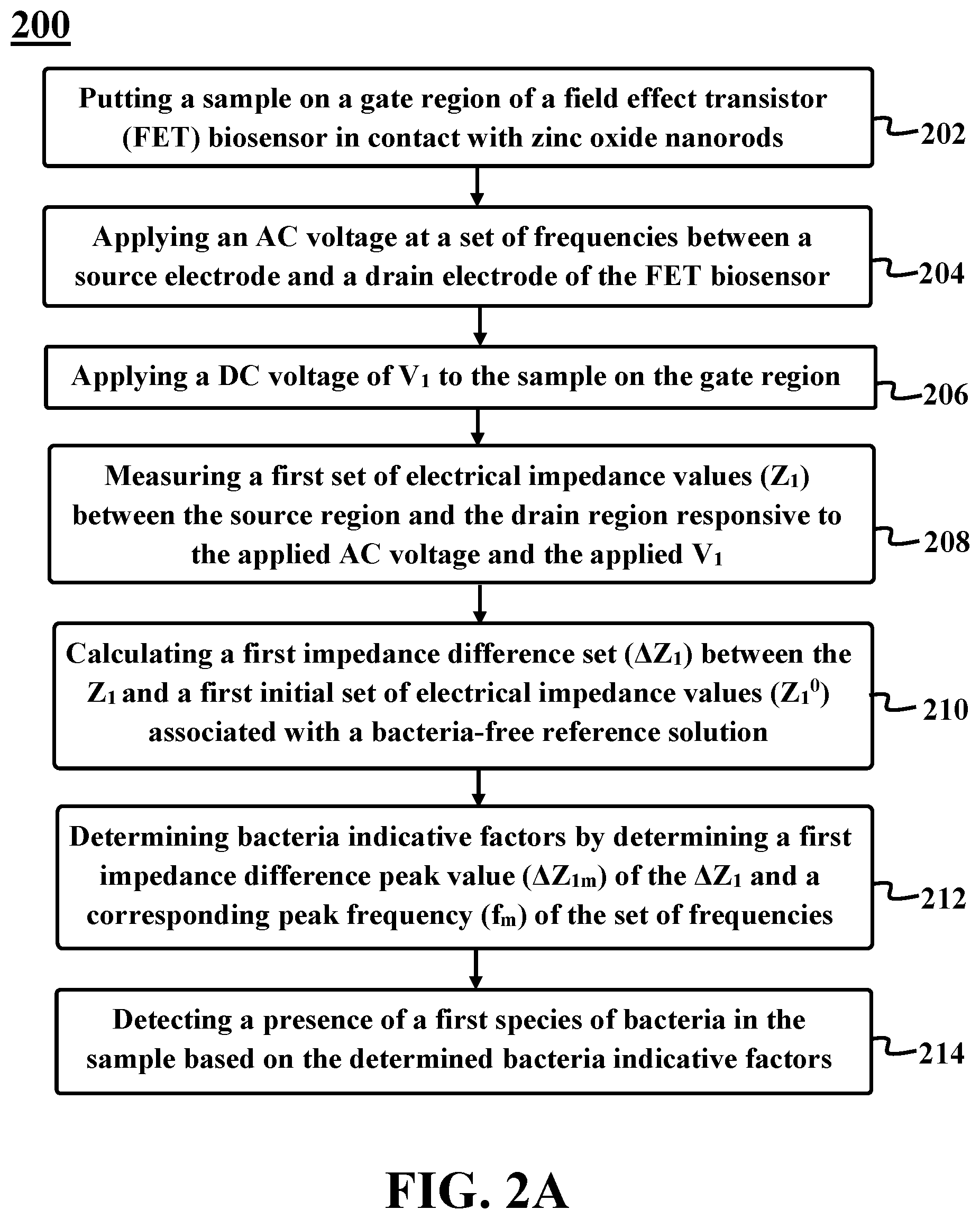 Patent US12326415 Figure 2 – Antibody-free rapid detection of bacteria