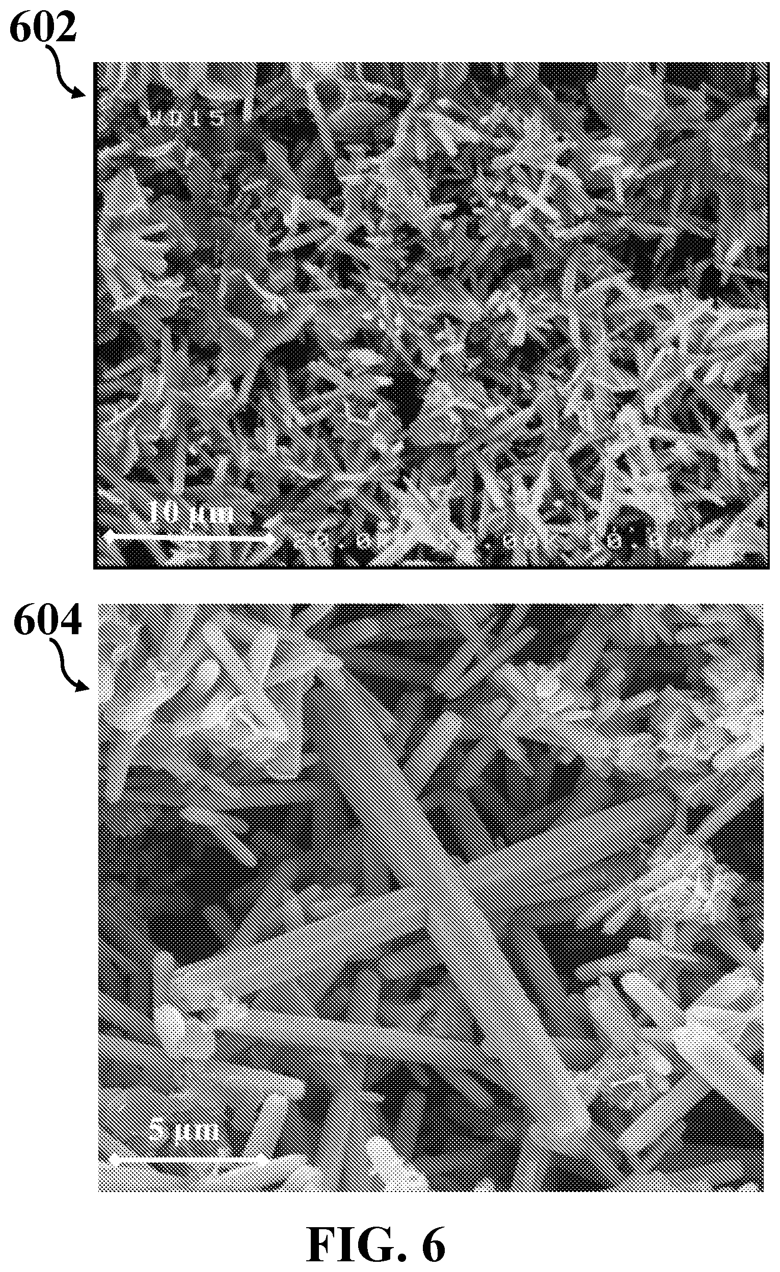 Patent US12326415 Figure 11 – Antibody-free rapid detection of bacteria