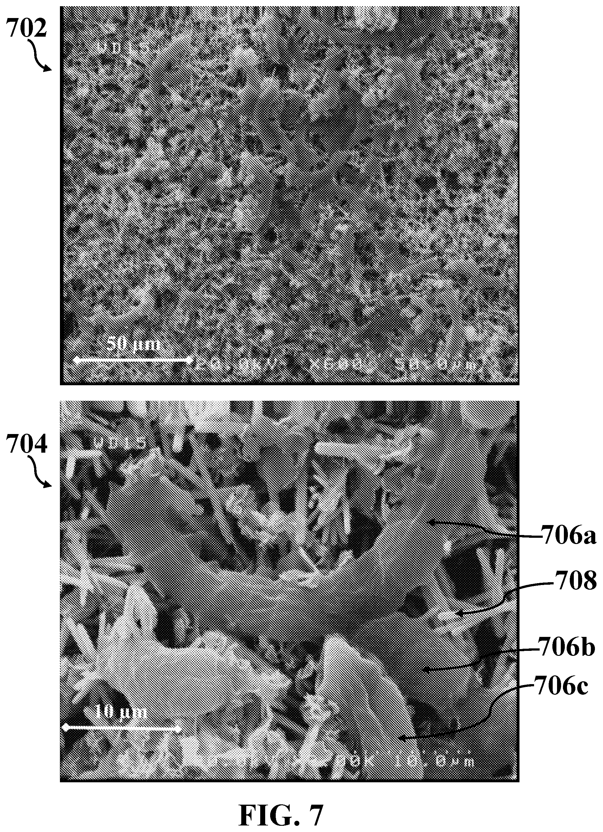Patent US12326415 Figure 12 – Antibody-free rapid detection of bacteria