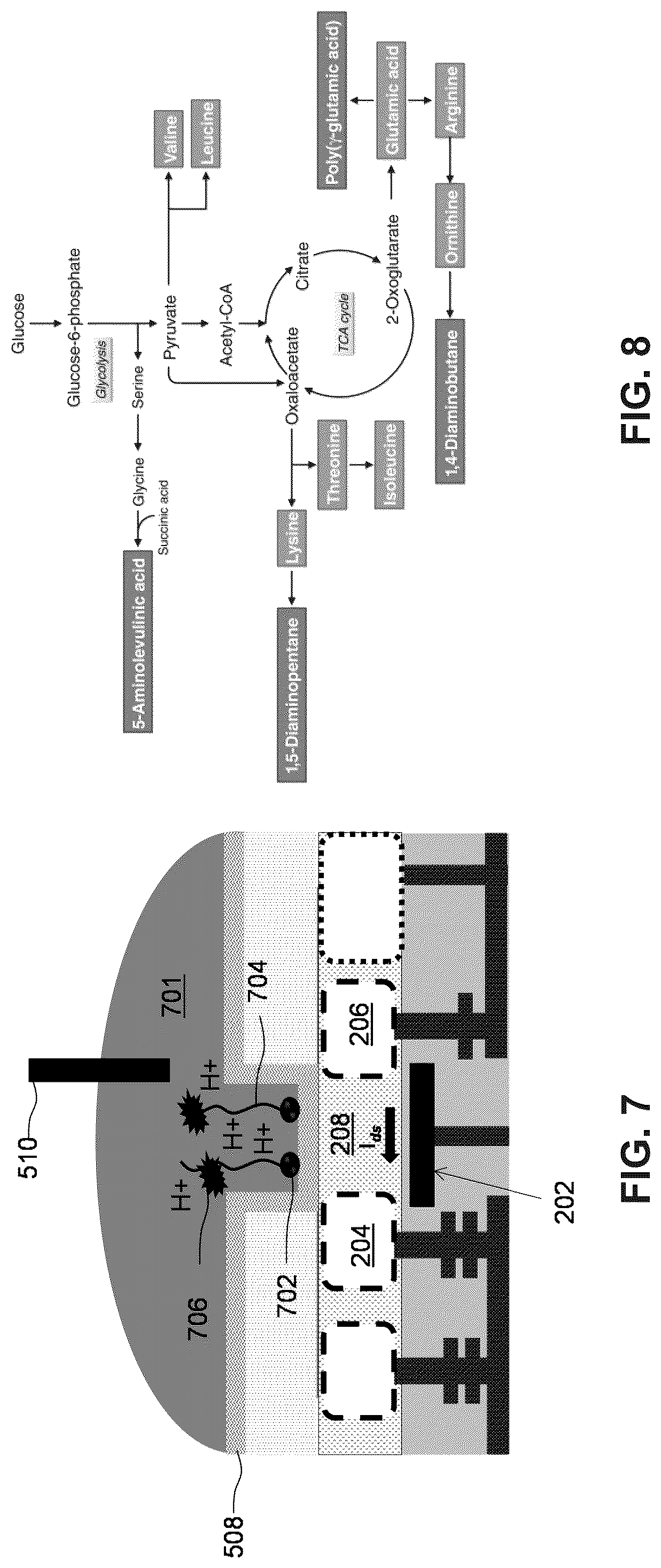 Patent US12326416 Figure 7 – Differential sensing with biofet sensors
