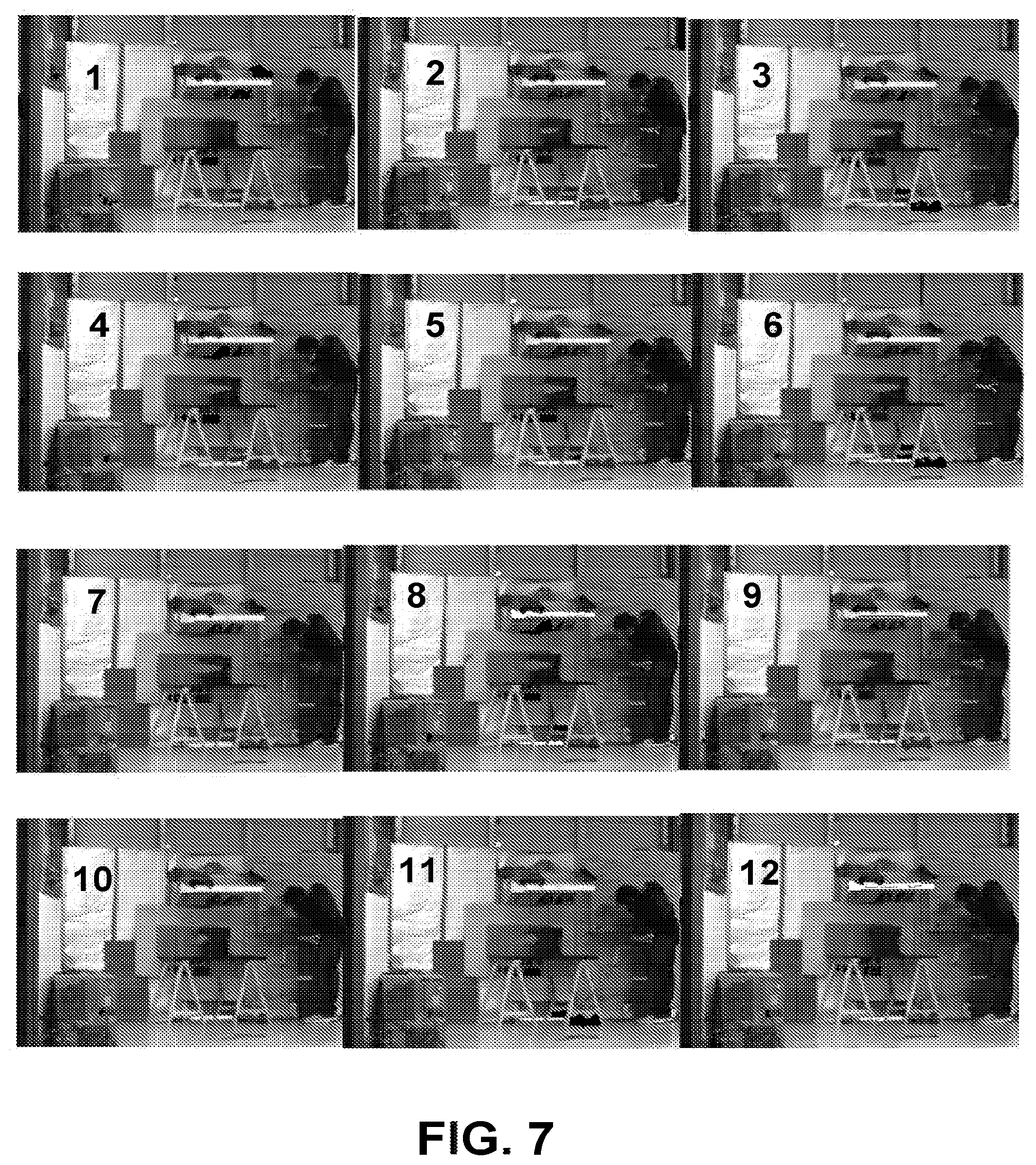 Patent US12326430 Figure 10 – Hydrogen sulfide imaging system