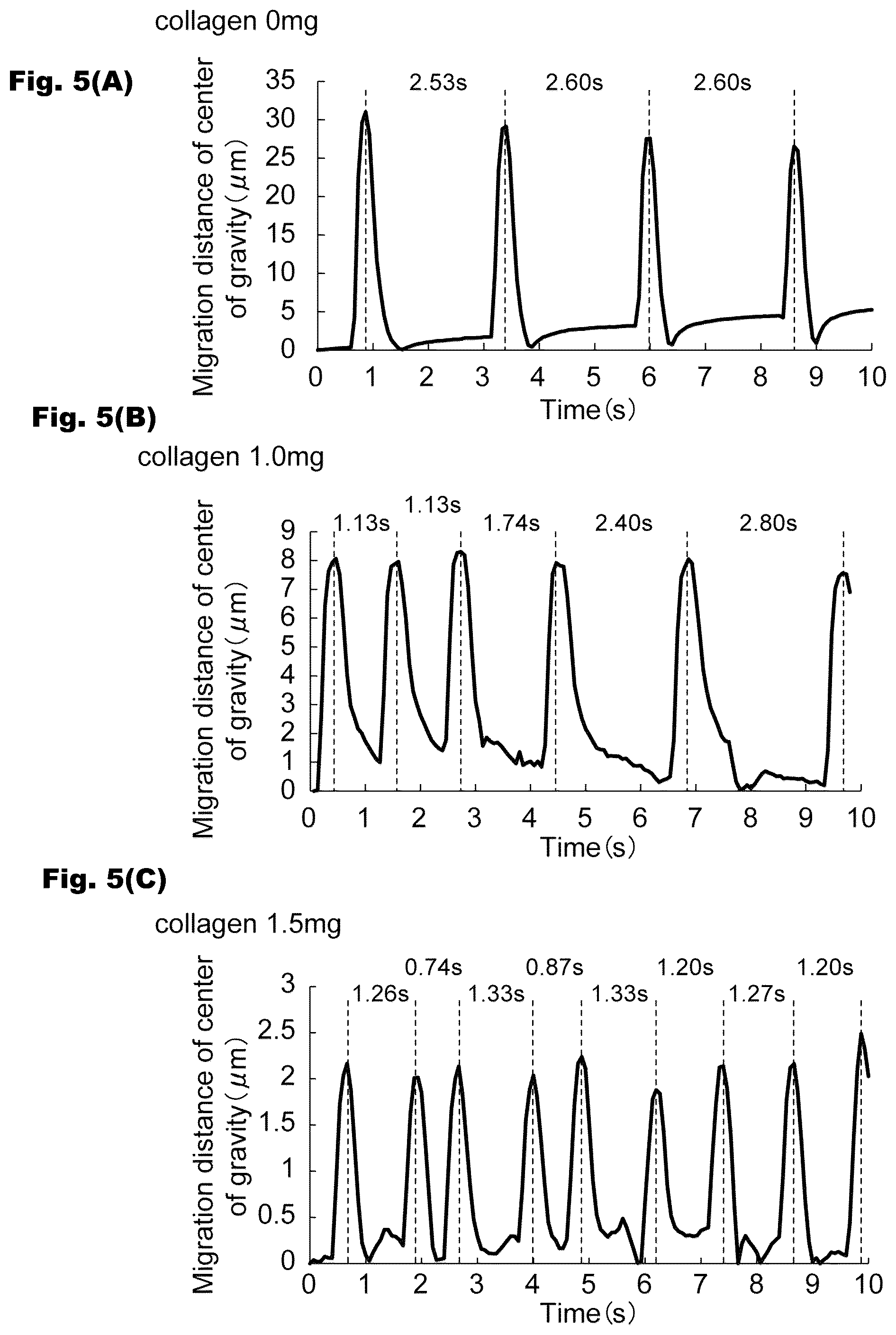 Patent US12326433 Figure 5 – Abnormal cardiac rhythm myocardial model and method for producing same, agent for forming abnormal cardiac rhythm myocardial model, and method for evaluating drug efficacy of heart disease therapeutic