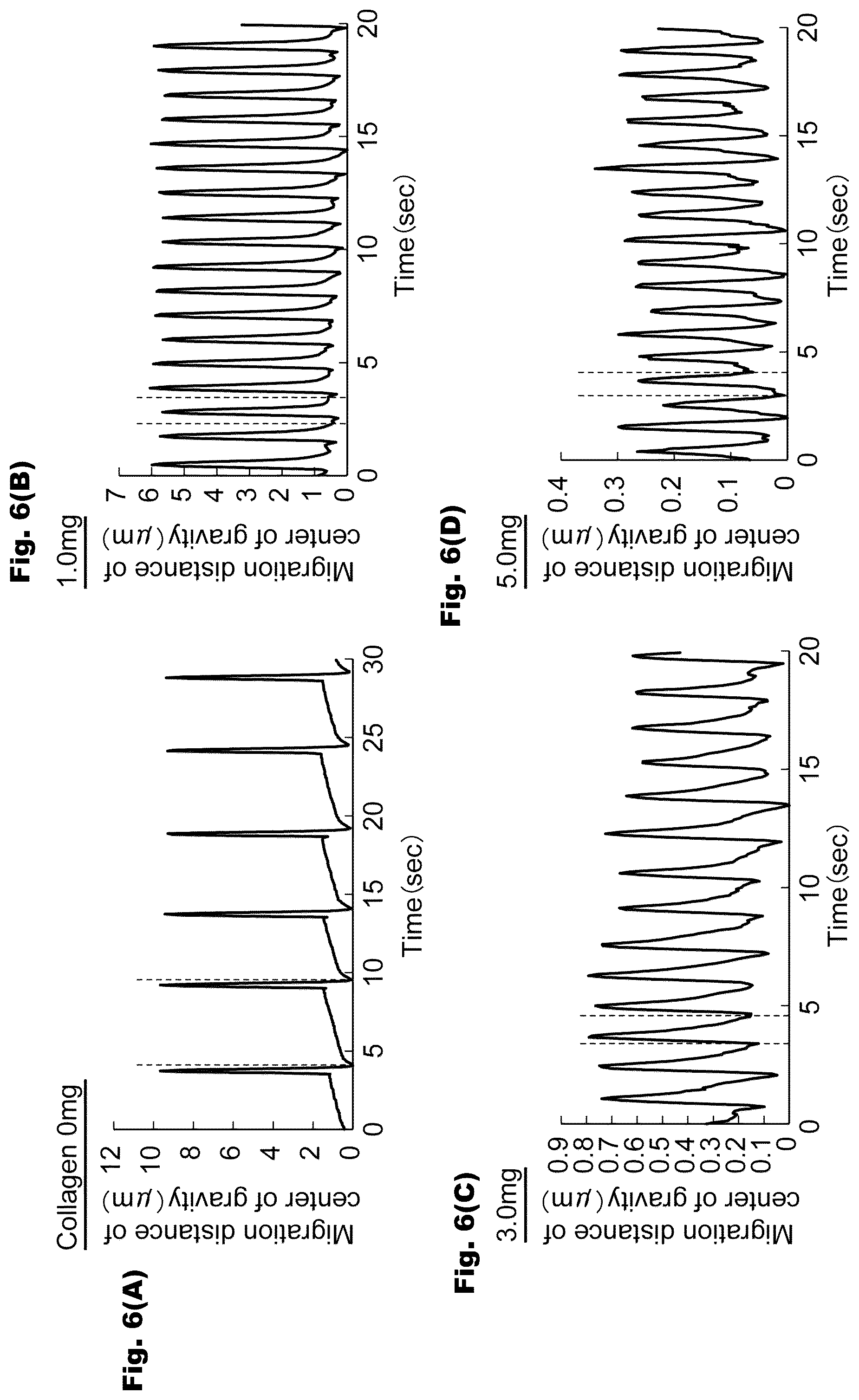 Patent US12326433 Figure 6 – Abnormal cardiac rhythm myocardial model and method for producing same, agent for forming abnormal cardiac rhythm myocardial model, and method for evaluating drug efficacy of heart disease therapeutic