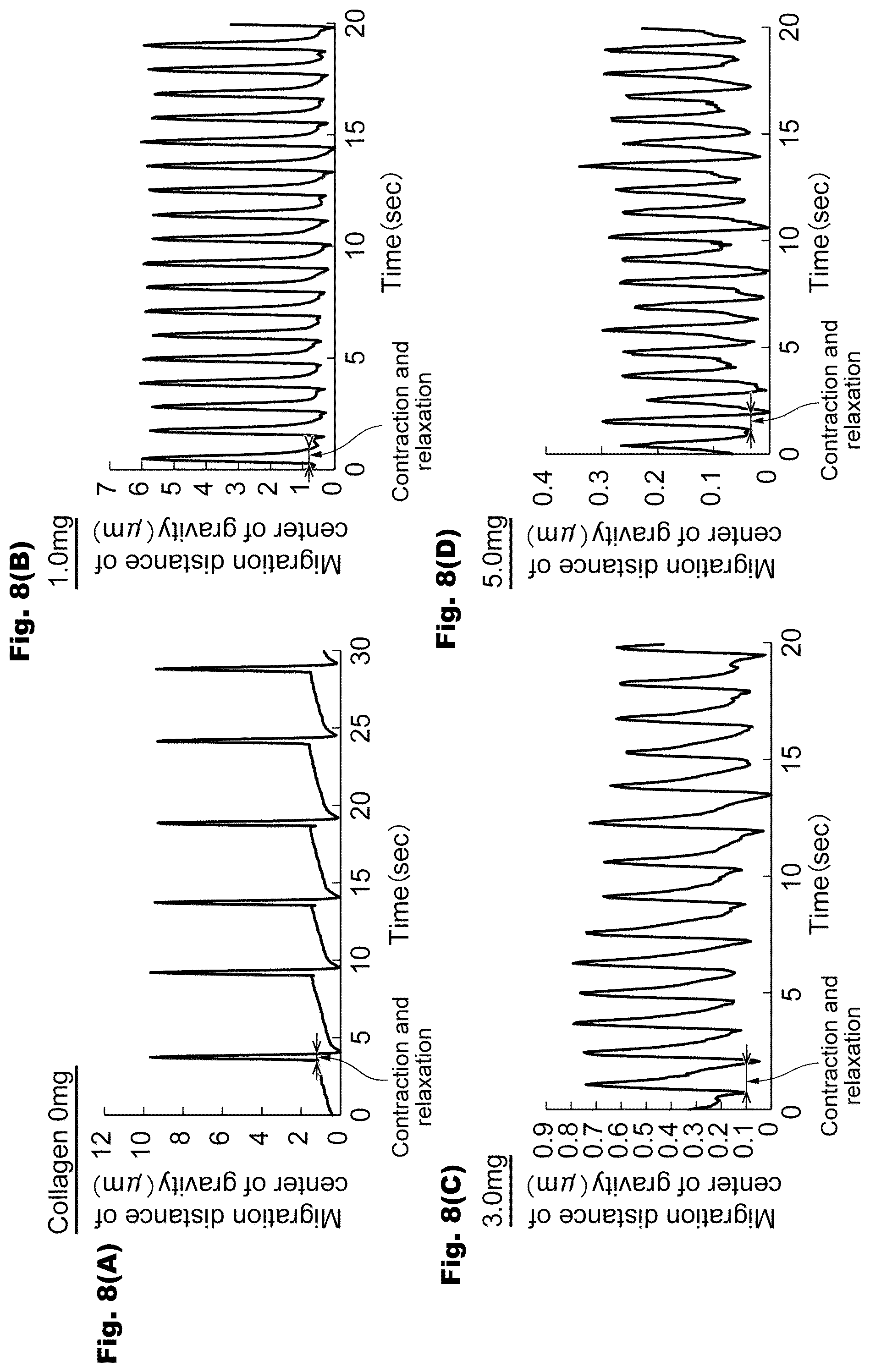 Patent US12326433 Figure 8 – Abnormal cardiac rhythm myocardial model and method for producing same, agent for forming abnormal cardiac rhythm myocardial model, and method for evaluating drug efficacy of heart disease therapeutic