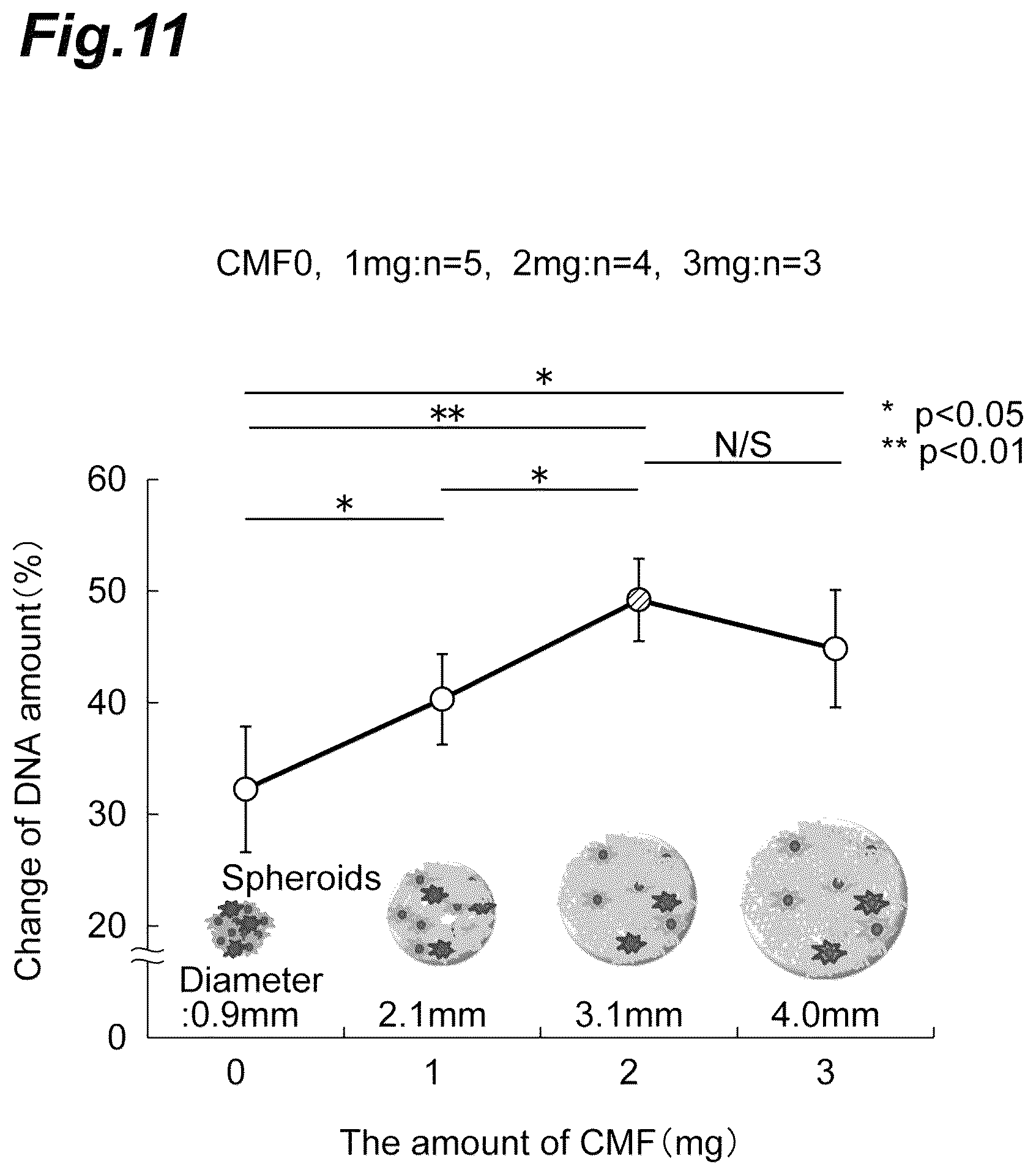 Patent US12326433 Figure 11 – Abnormal cardiac rhythm myocardial model and method for producing same, agent for forming abnormal cardiac rhythm myocardial model, and method for evaluating drug efficacy of heart disease therapeutic