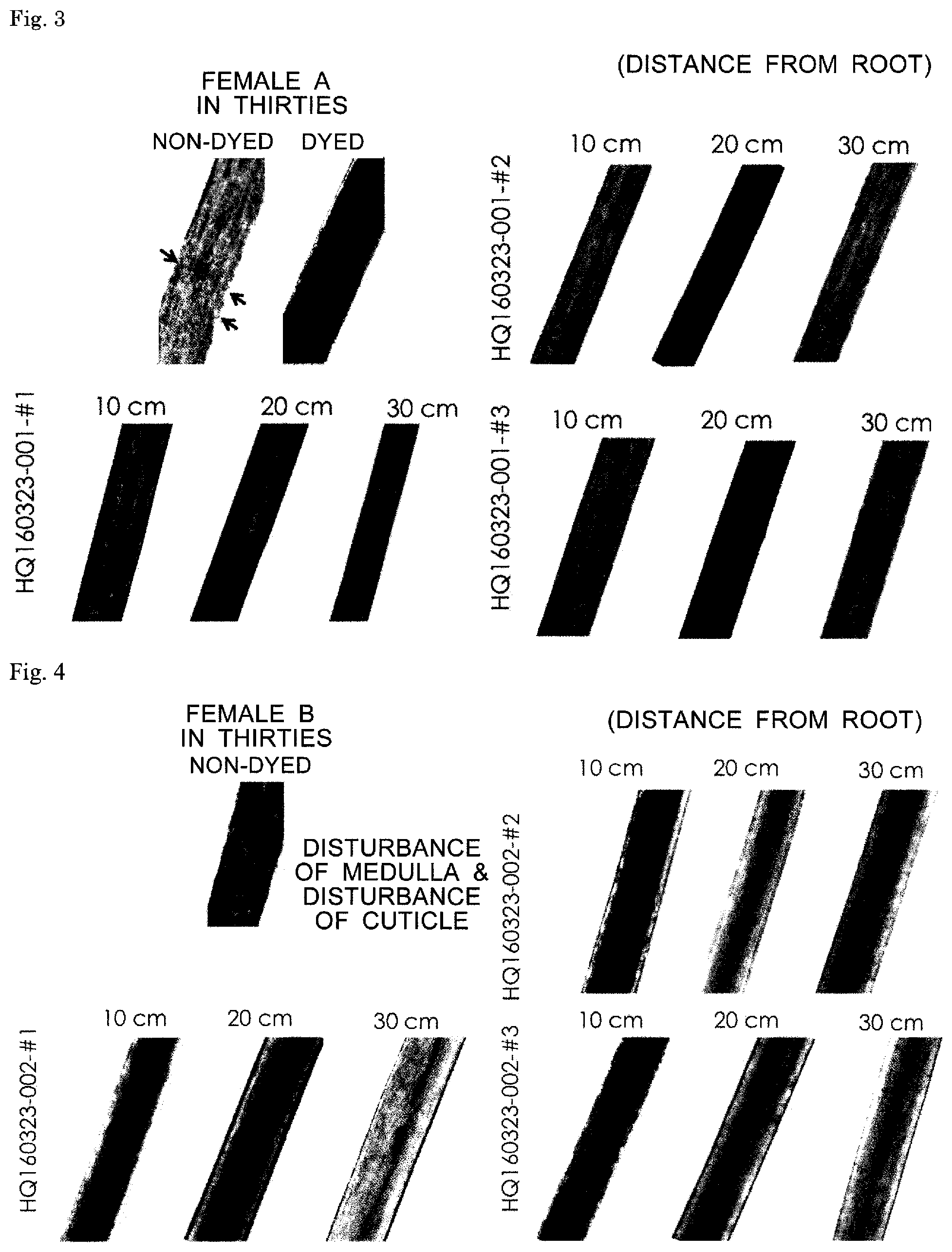 Patent US12326438 Figure 2 – Health-level measuring method, health-level determining apparatus, and hair-health examination system