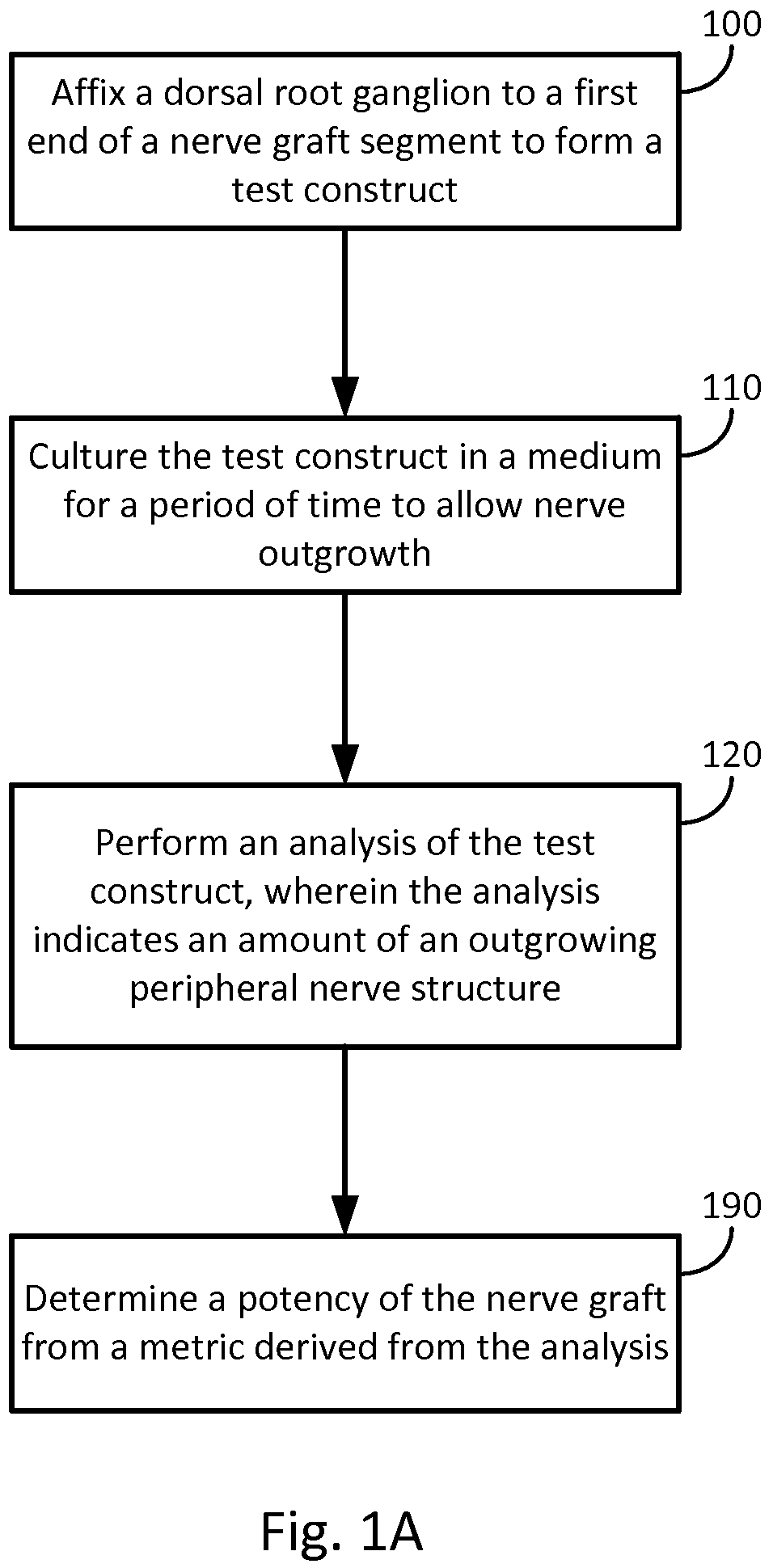 Patent US12326440 Figure 1 – Organotypic DRG-peripheral nerve culture system