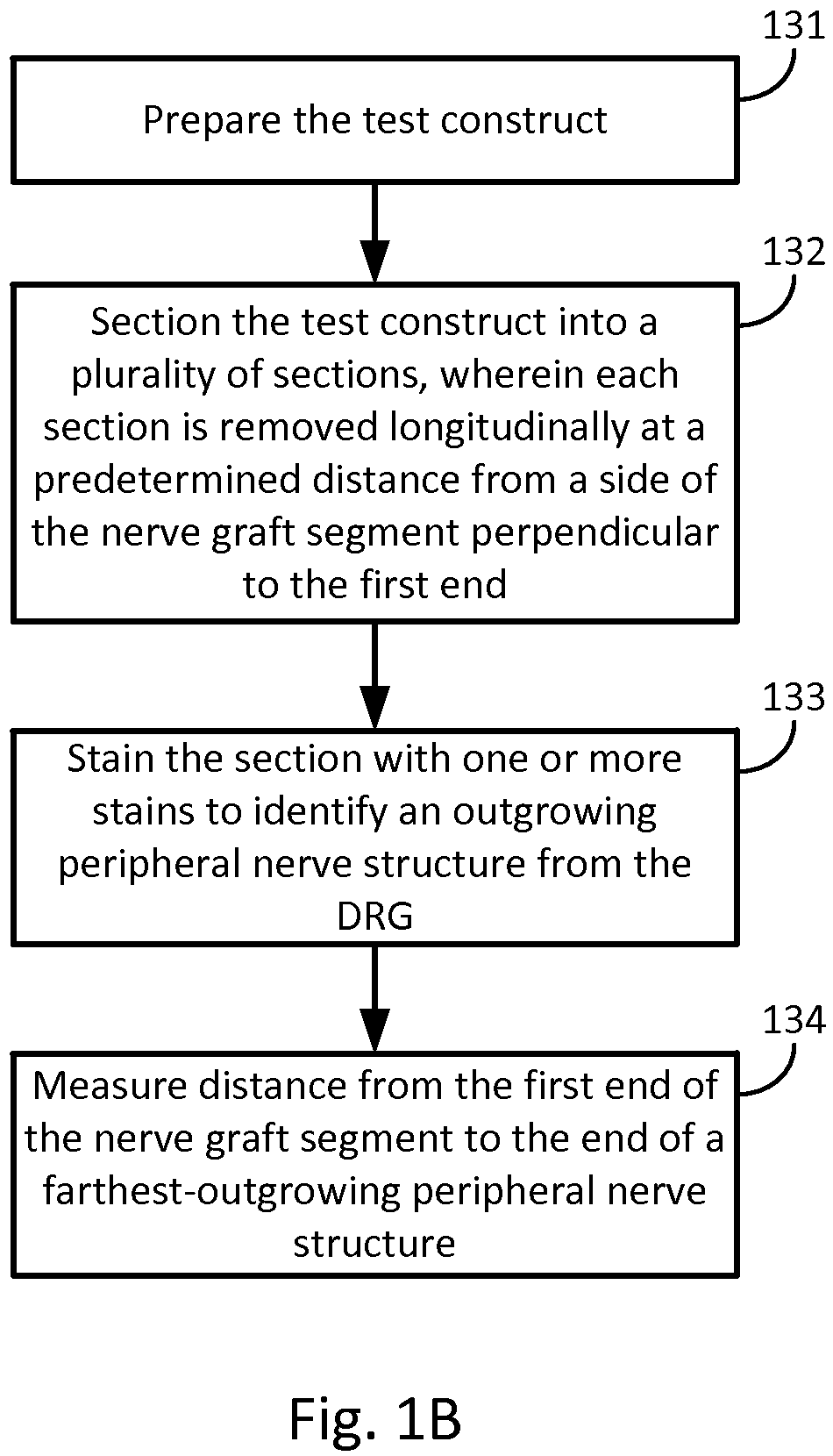 Patent US12326440 Figure 2 – Organotypic DRG-peripheral nerve culture system