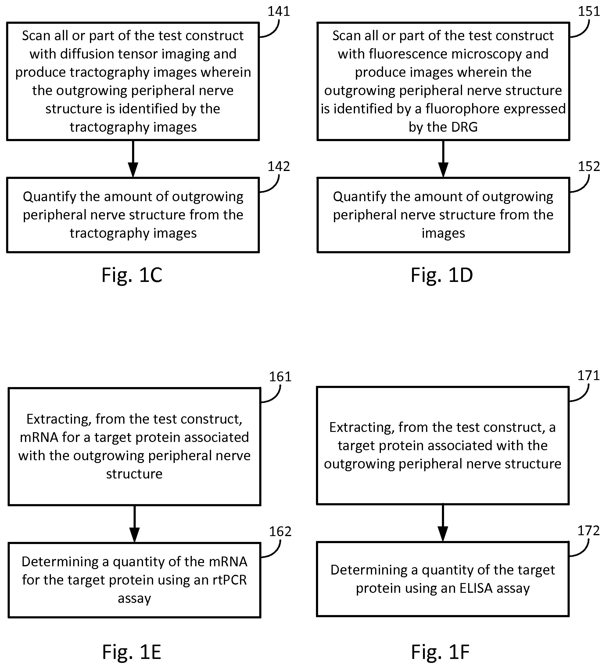 Patent US12326440 Figure 3 – Organotypic DRG-peripheral nerve culture system